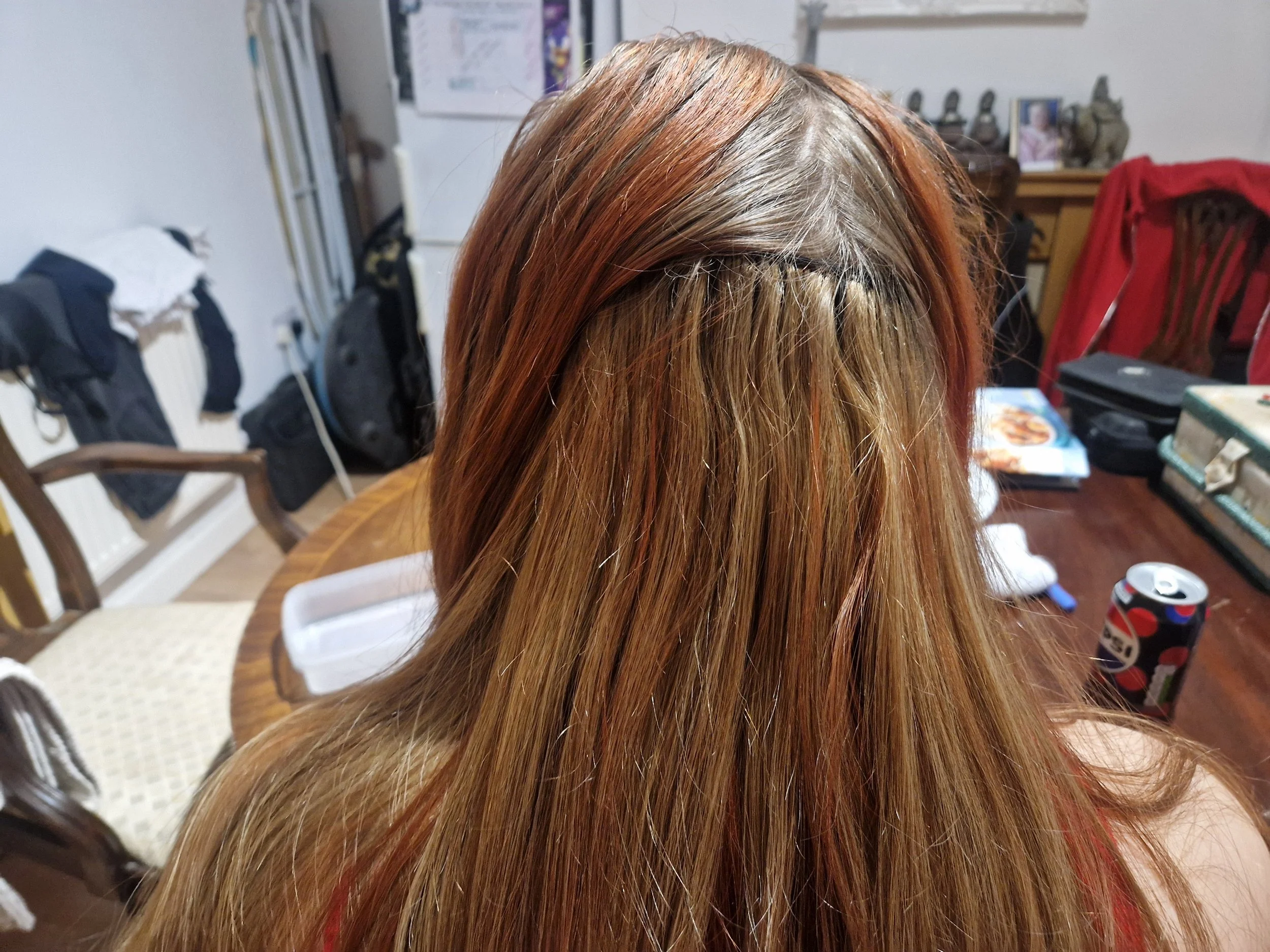 The back of a person's head with long, straight, reddish-brown hair. The setting appears to be a cluttered room with furniture and various household items in the background.