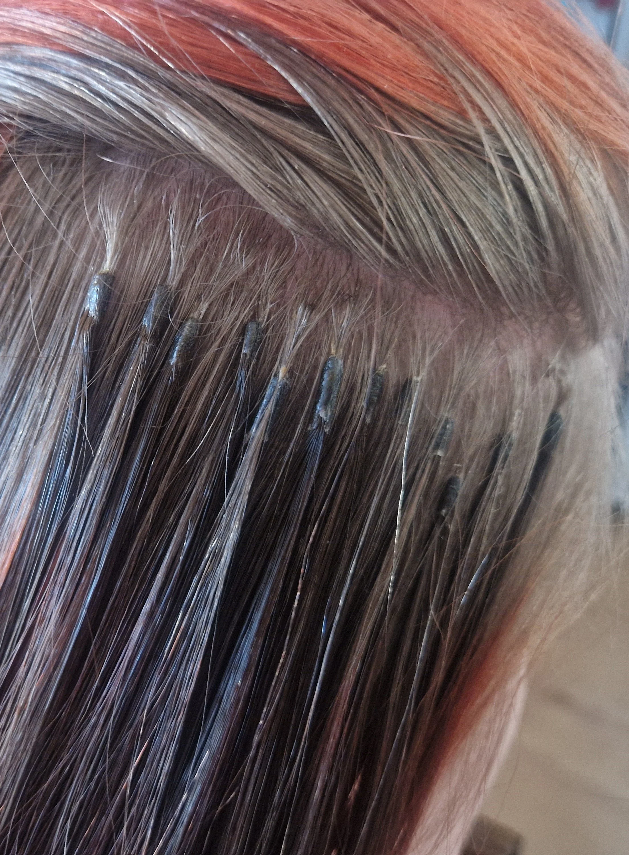 Close-up of a person's head with brown and blonde hair, showing the scalp and hair roots.