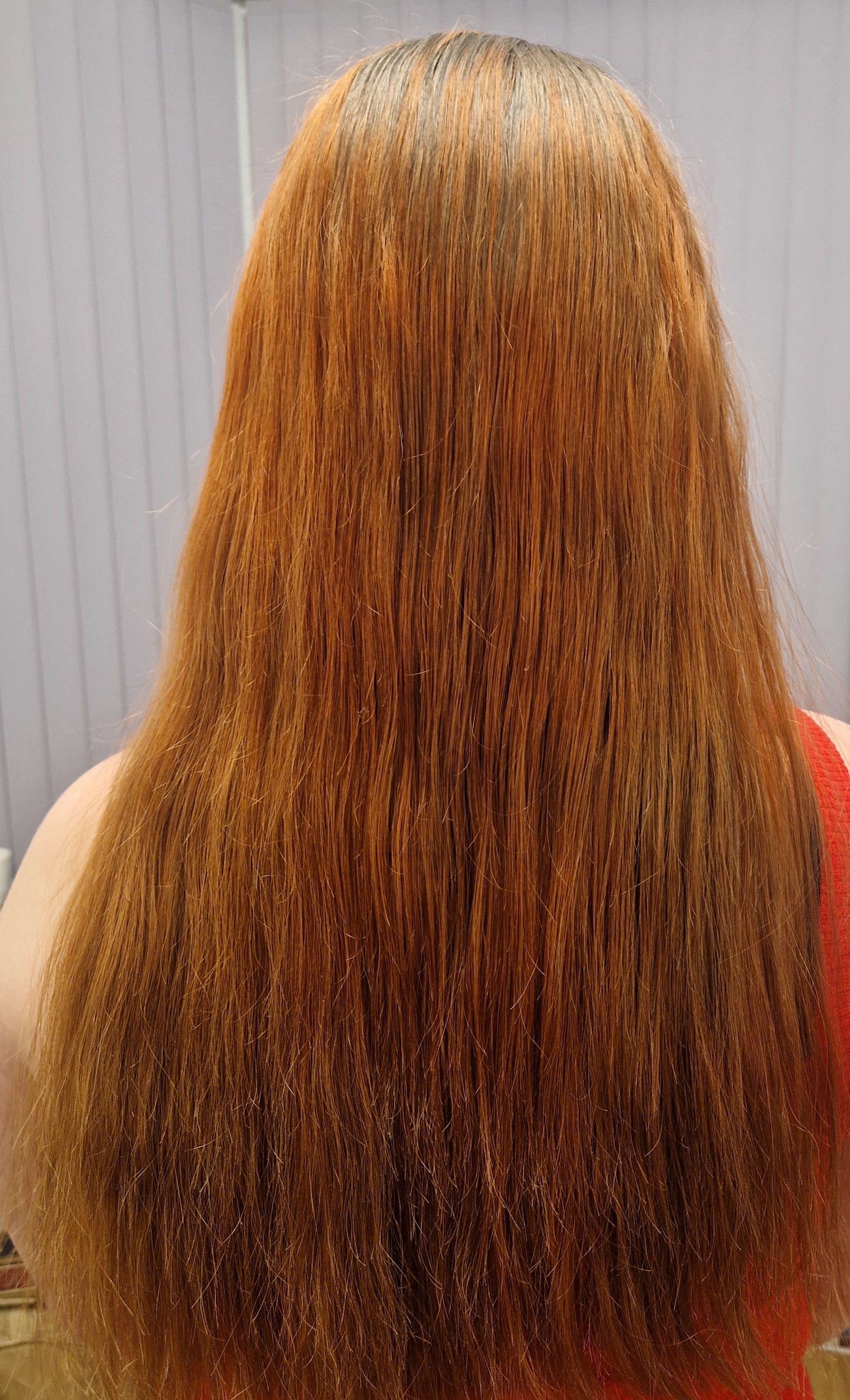 Back of a person with long, straight, reddish-brown hair.