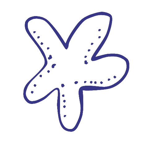Outline drawing of a starfish with dotted details