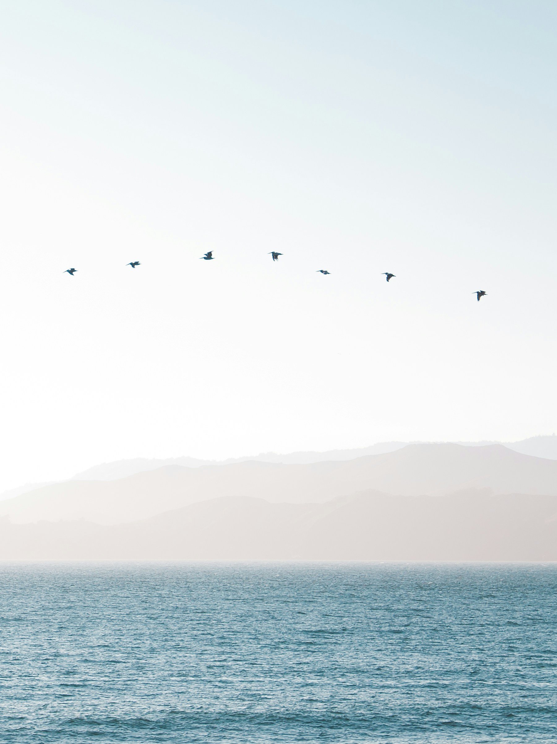 Overwater view of an ocean with mountains in the distance, clear blue water, and a light sky with flying flock of birds.