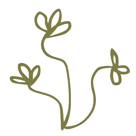 Minimalist drawing of a plant with three leaves on curving stems.