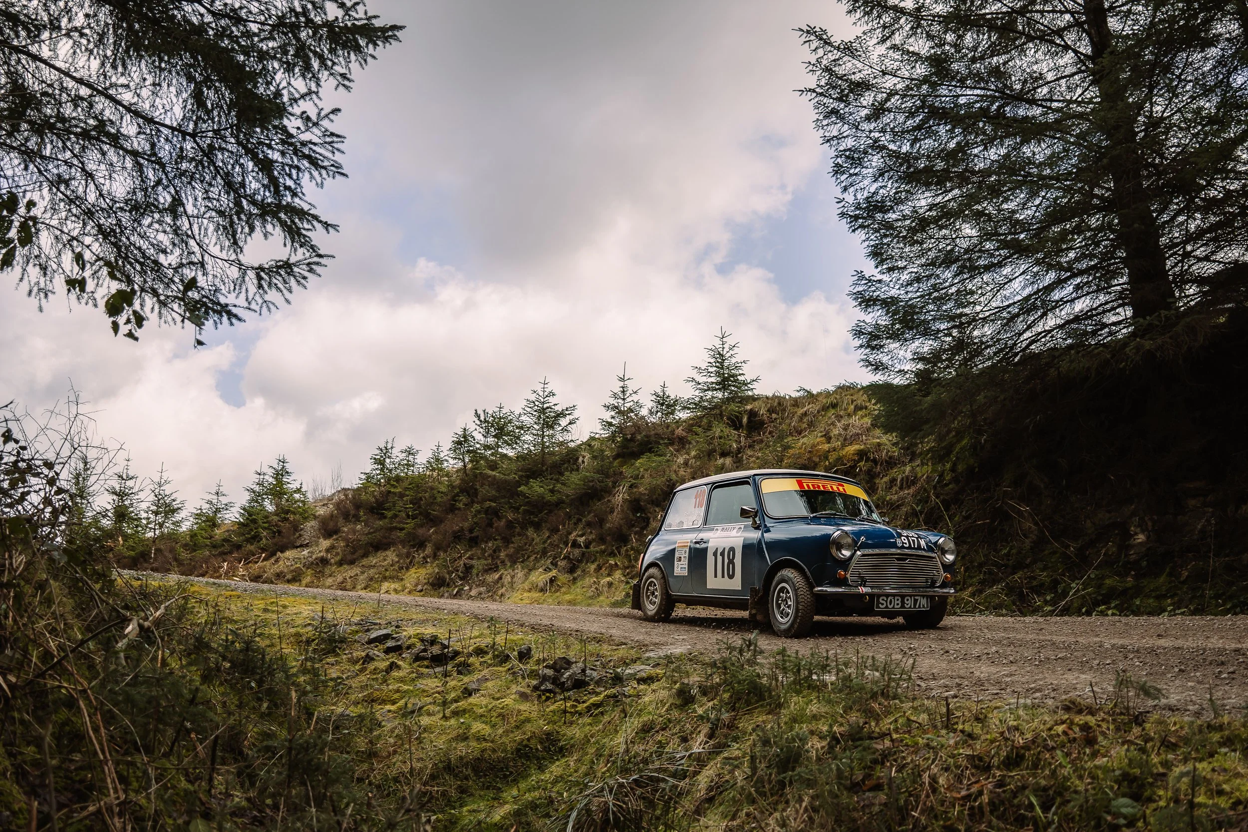 DSC00534.jpg