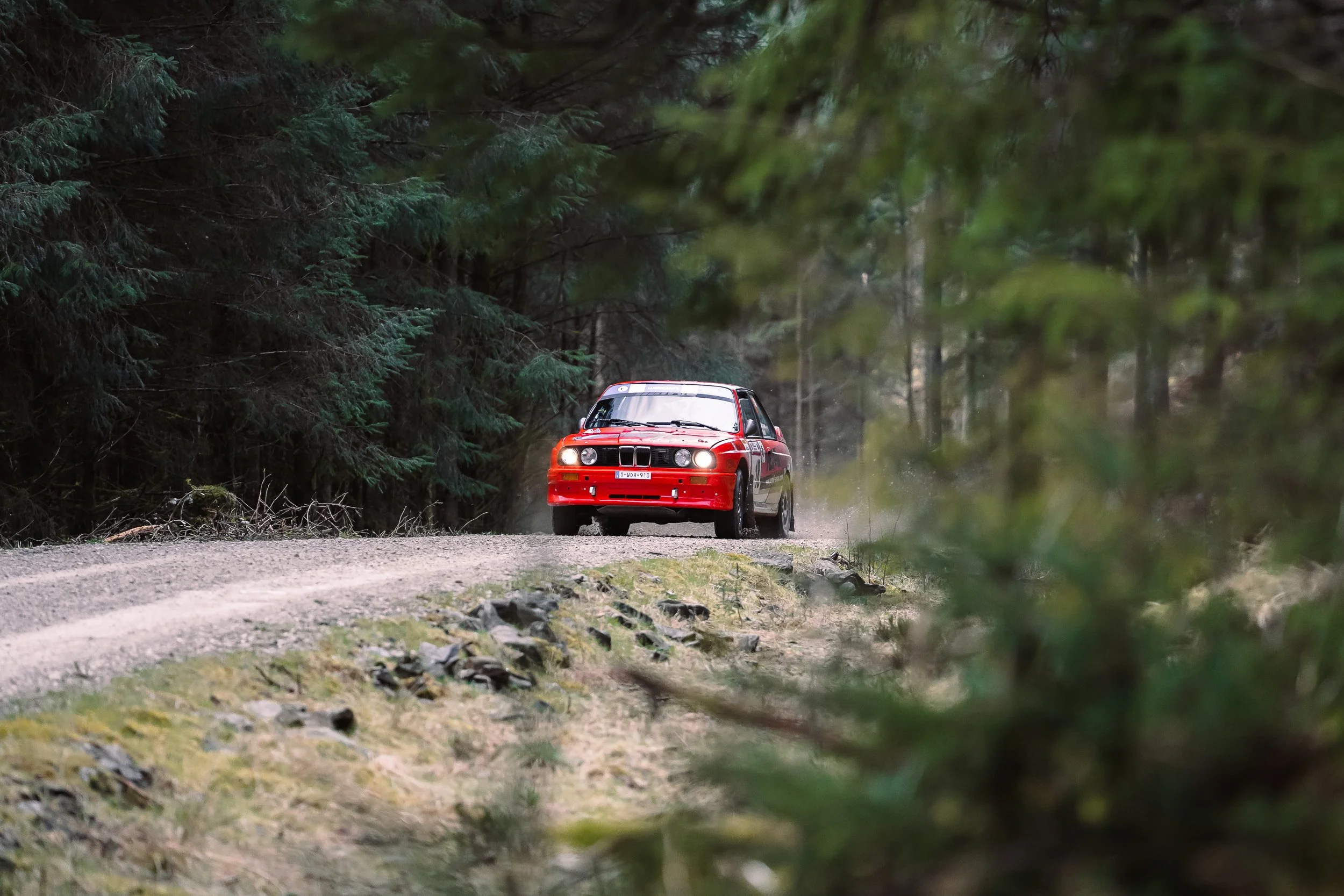 Red rally car approaching through pine forest at Rally North Wales