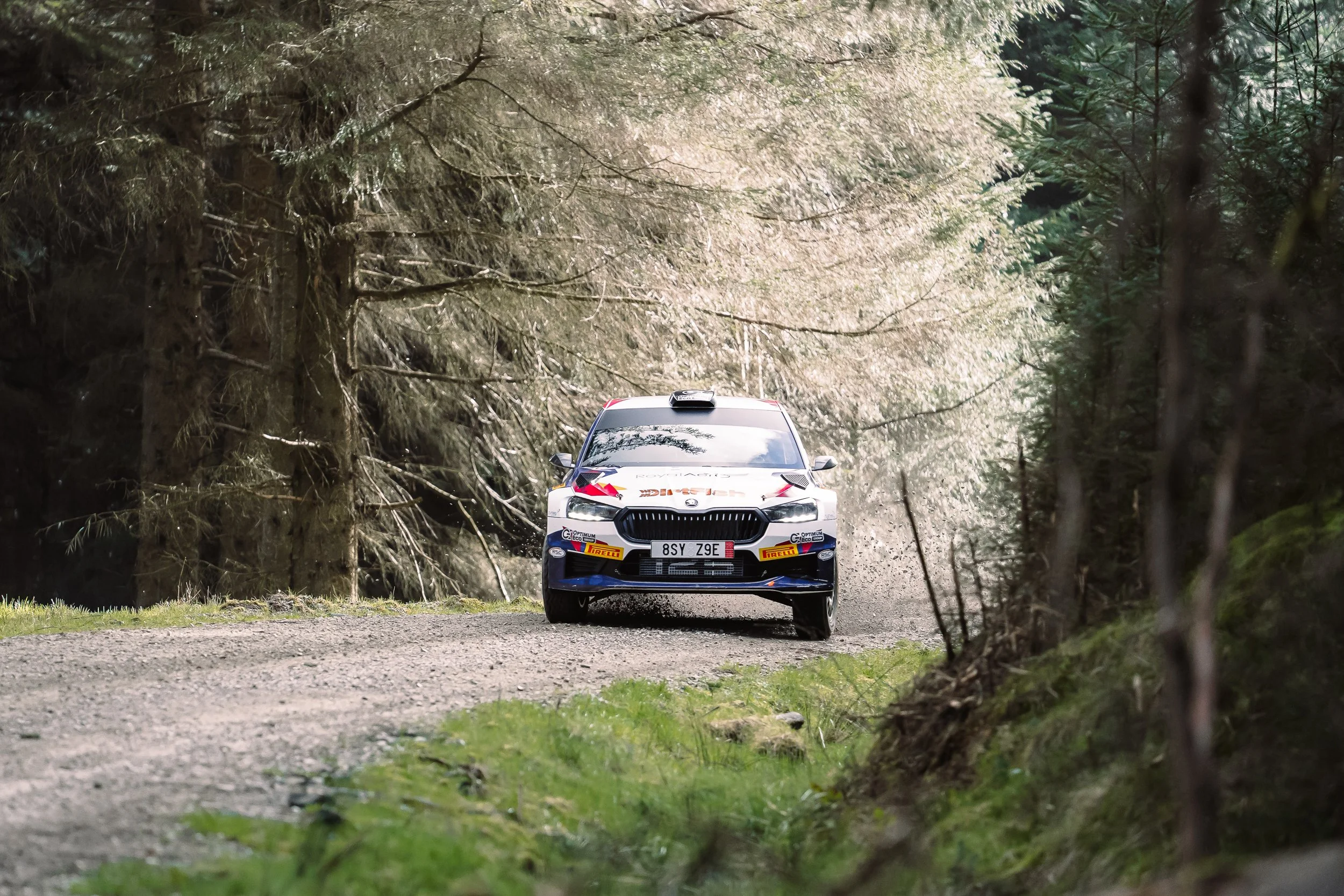 White and orange rally car navigating a tree-lined gravel bend at Rally North Wales