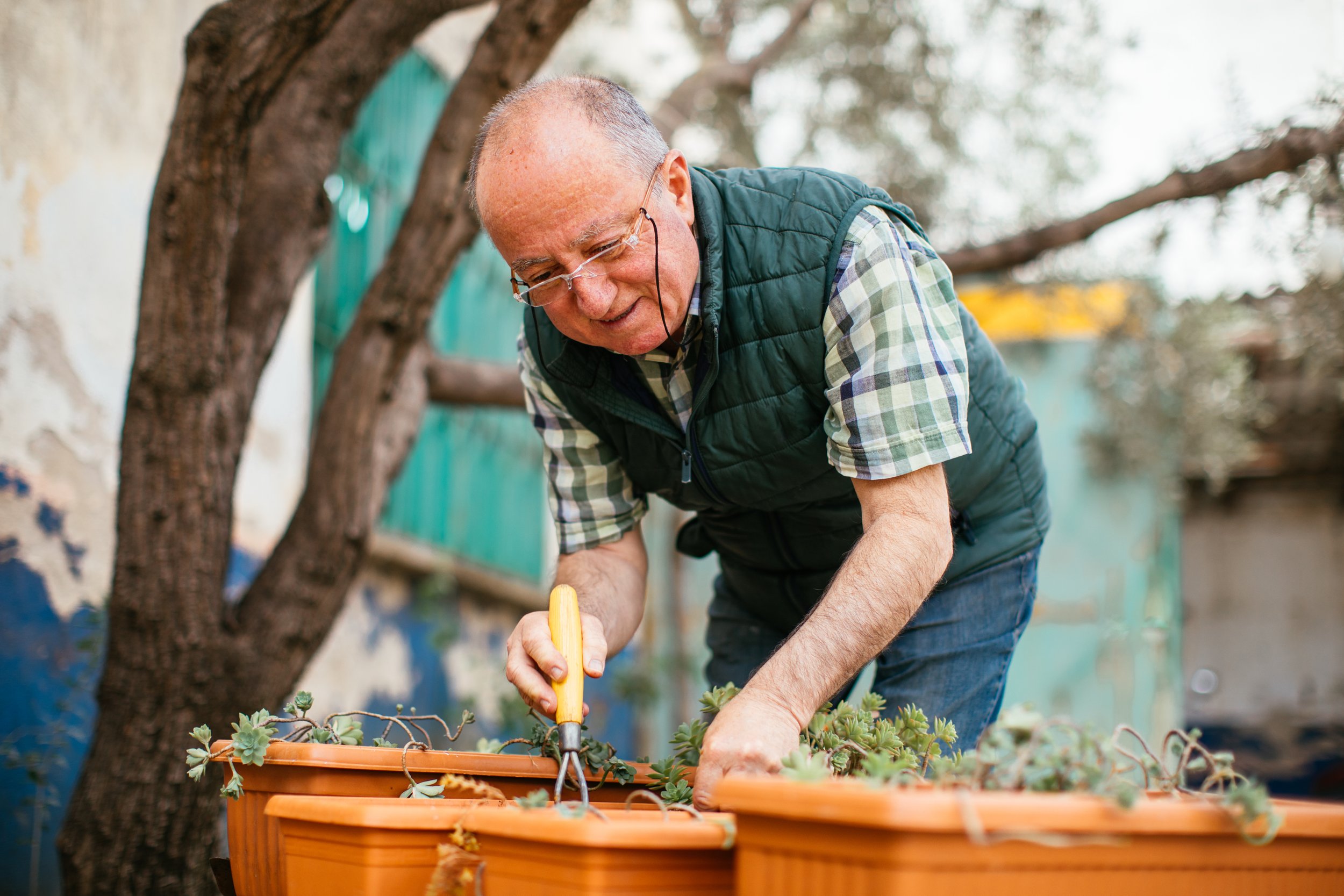 An elderly man tending to plants in a garden, using gardening tools outdoors on a sunny day.
