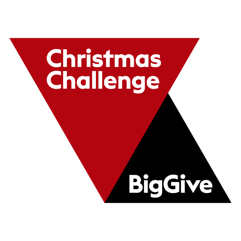 Red inverted triangle with white text saying 'Christmas Challenge' at the top and 'BigGive' at the bottom.