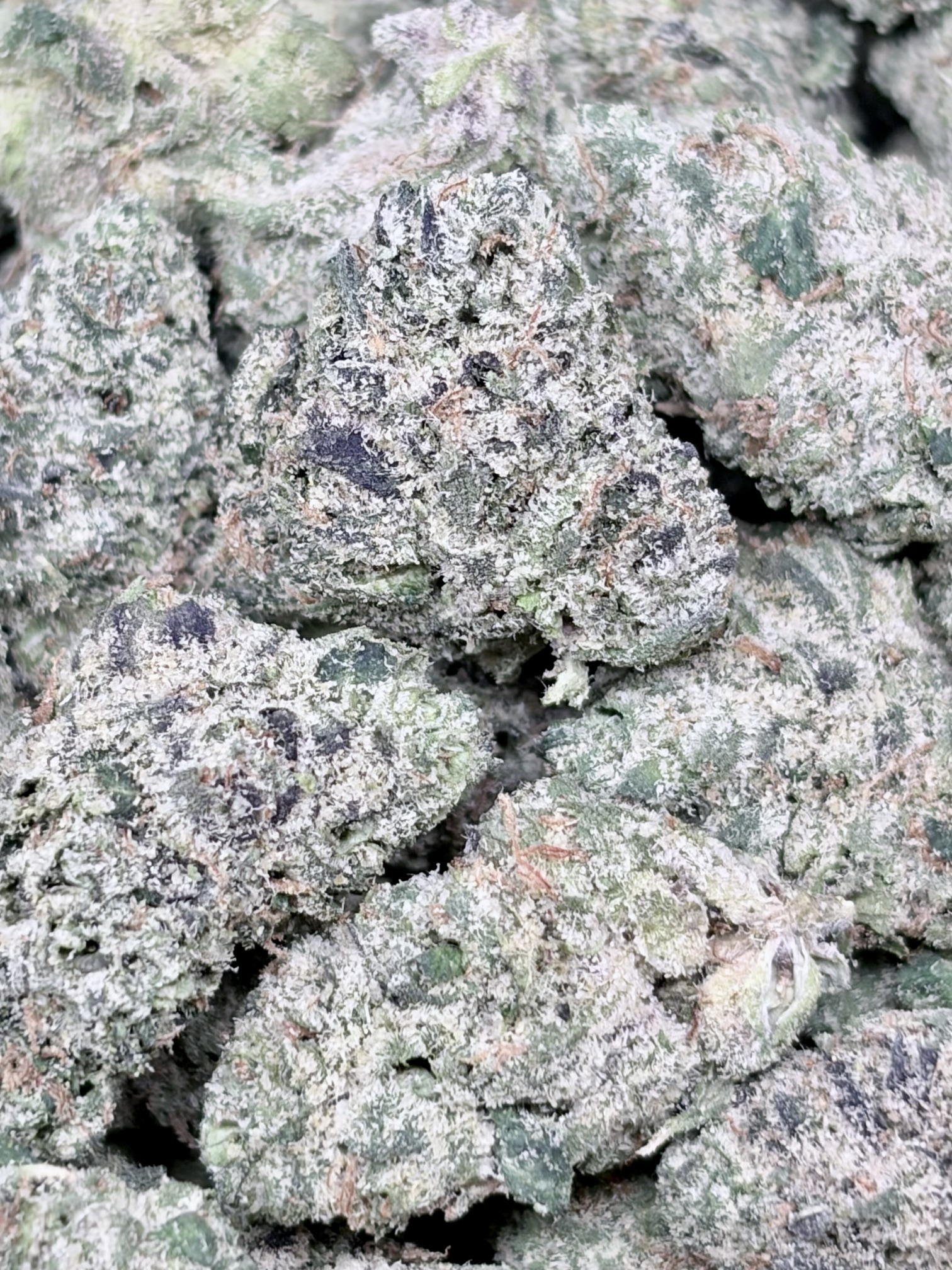 Alien Cookies smalls  2oz for $125