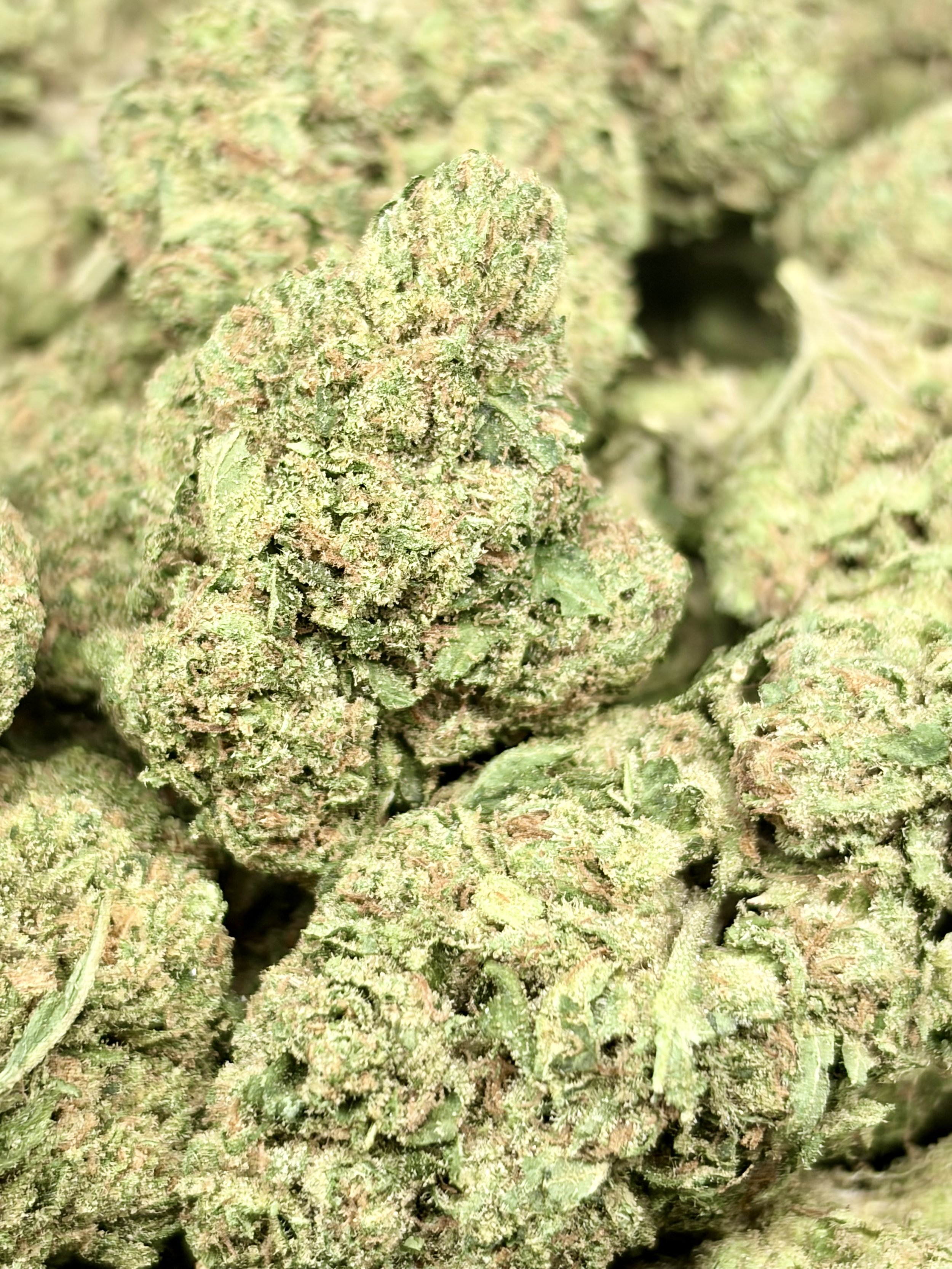 Lemon Tree Kush  2oz for $140