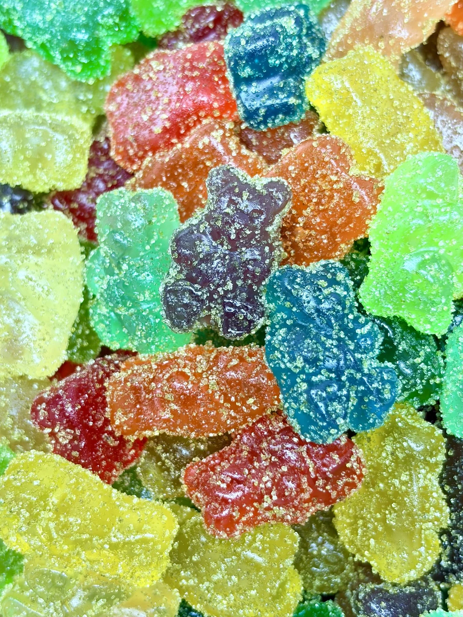 FRESH BEARS 850mg. BACK IN STOCK!