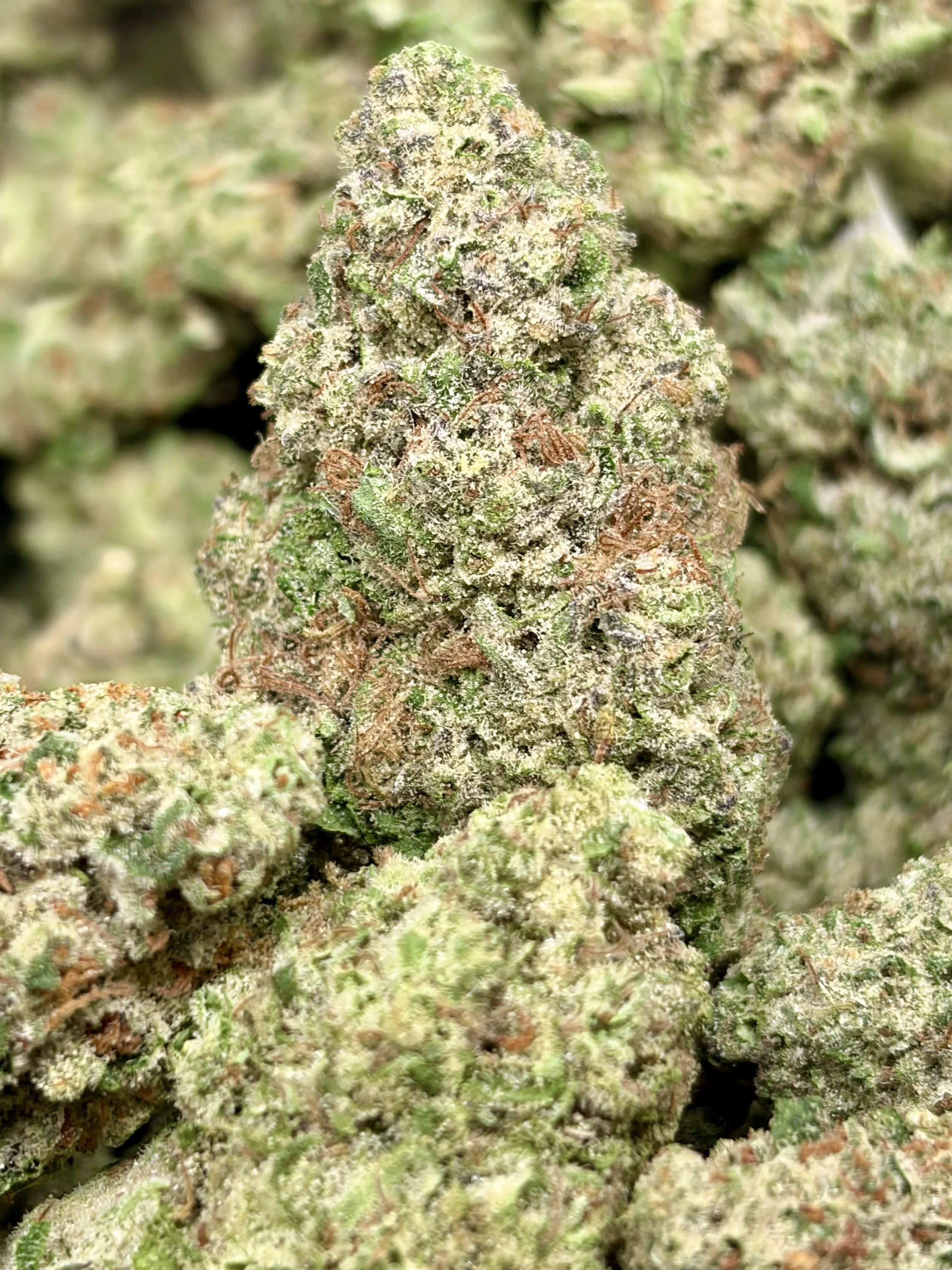 Jungle Cookies  2oz for $150