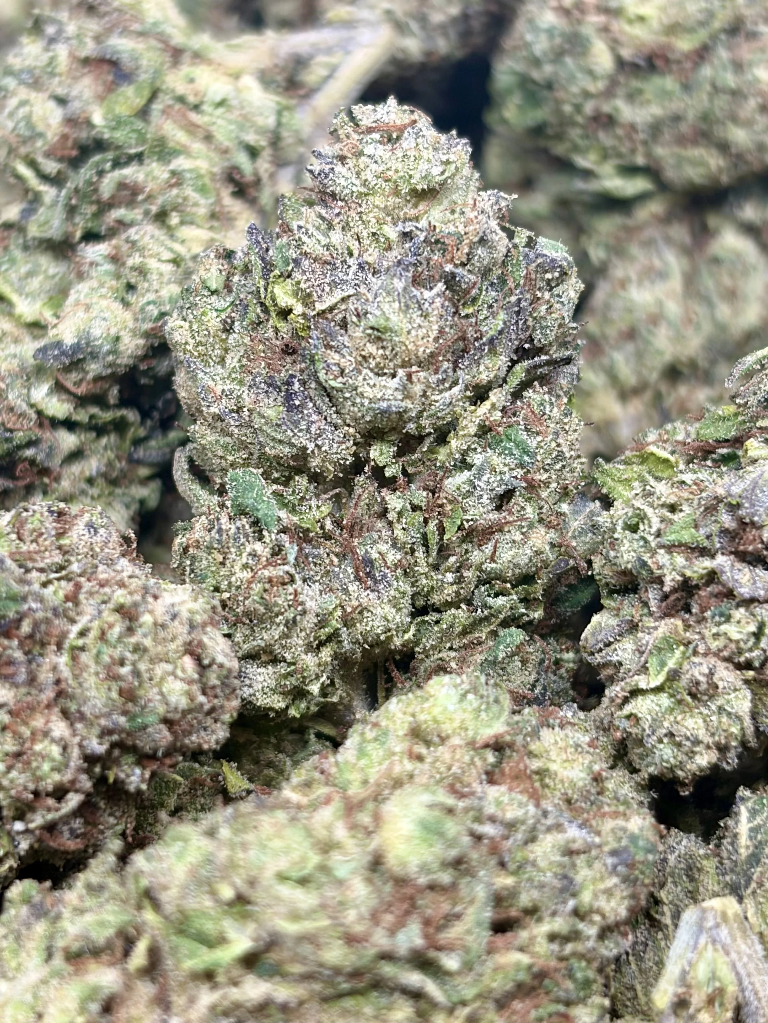 Chocolate Runtz  2oz for $140