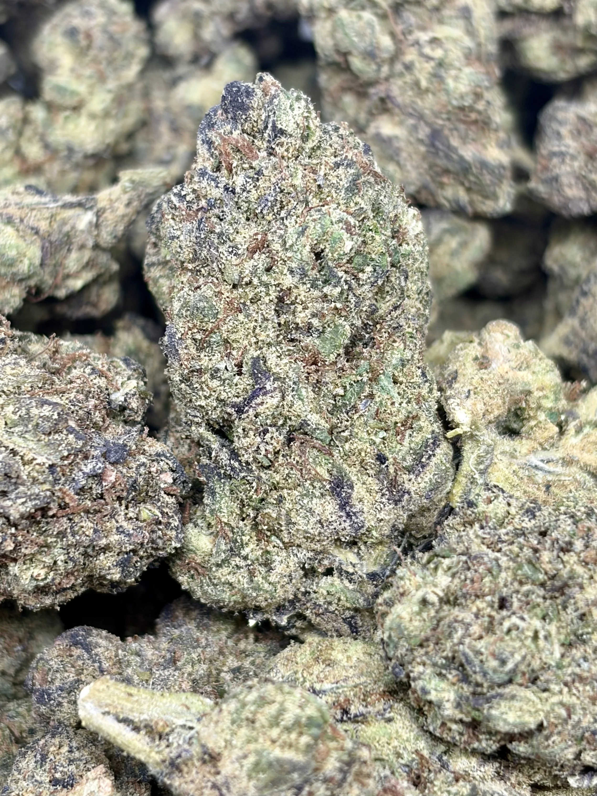 L.C.G. Runtz  2oz for $140 - Closeout!