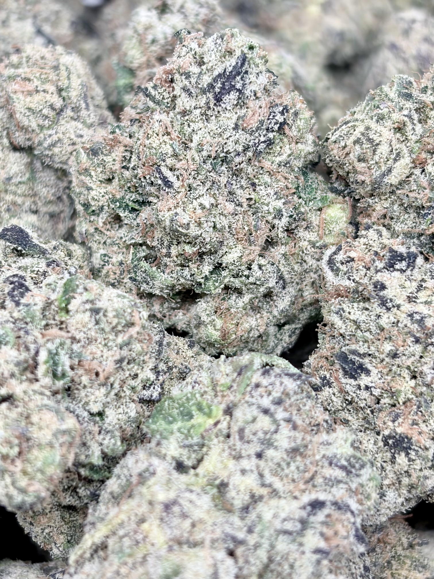 GRAPE GELATO. 2oz for $240