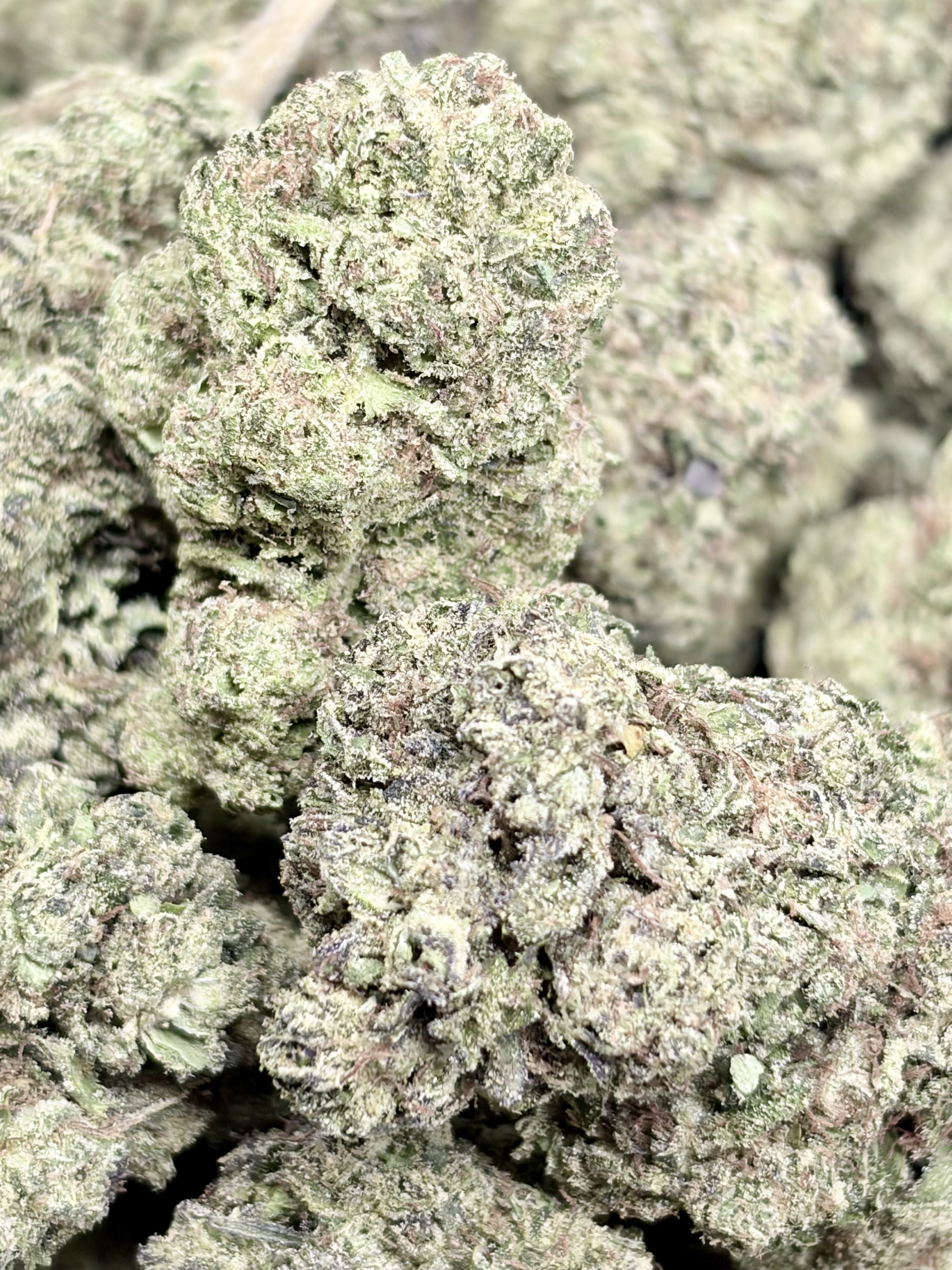 Kush Mintz 2oz for $160