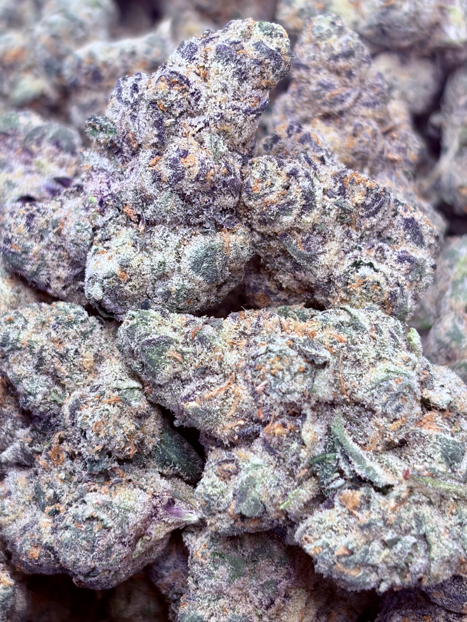 Champaigne Diesel. 2oz for $200!