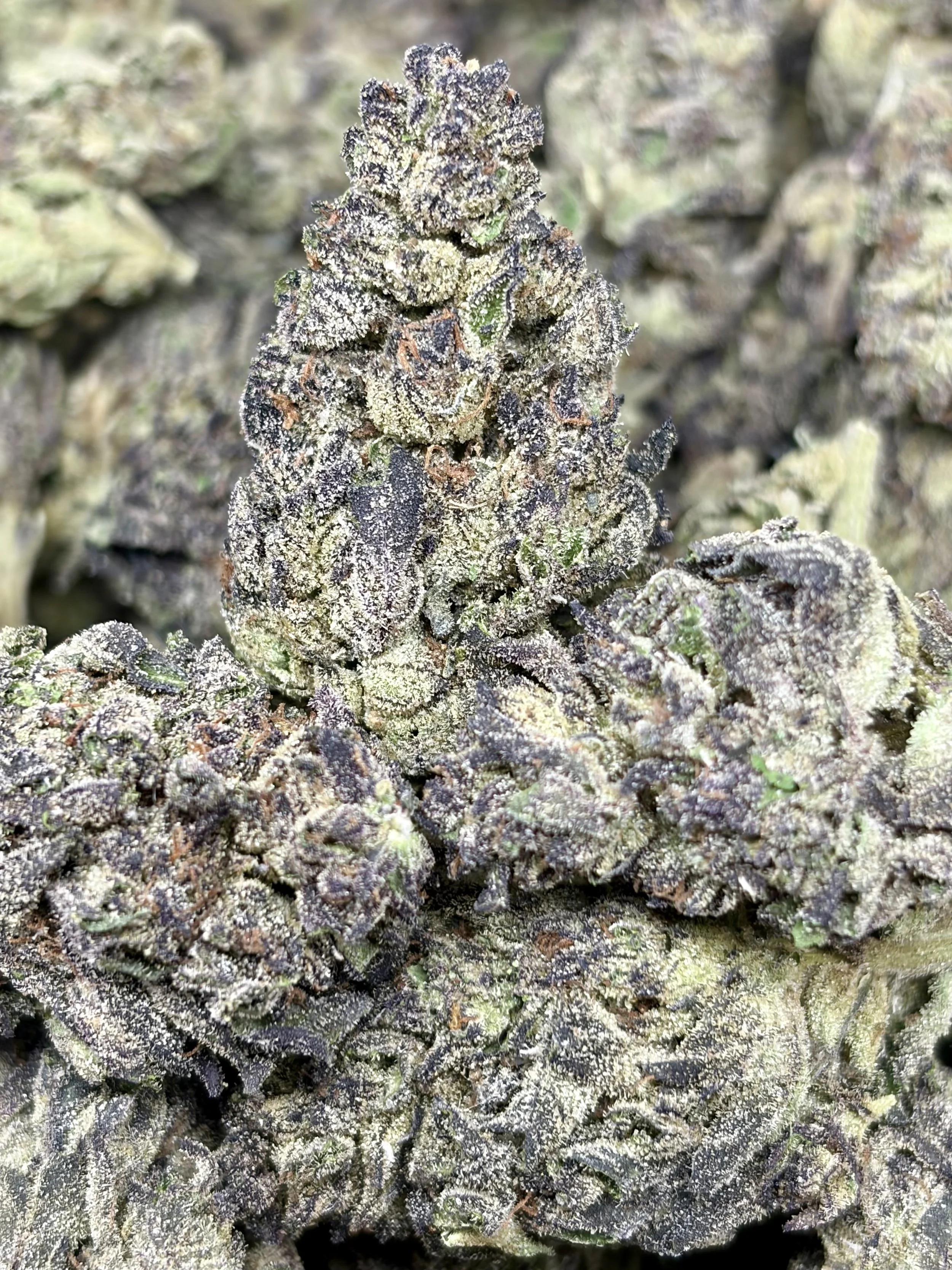 Lavender Jones Purps:  2oz for $160