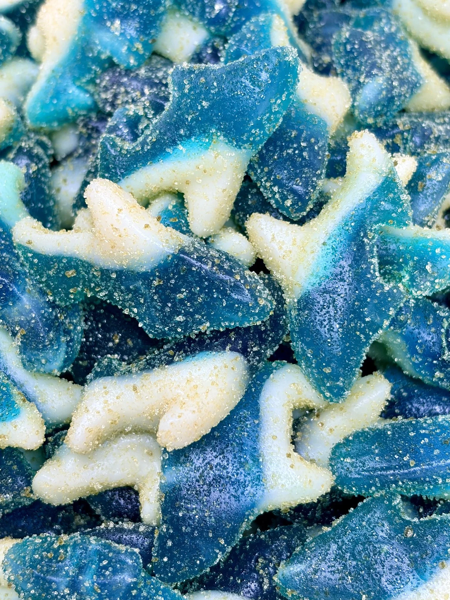 Shark Bites  850mg  BACK IN STOCK!