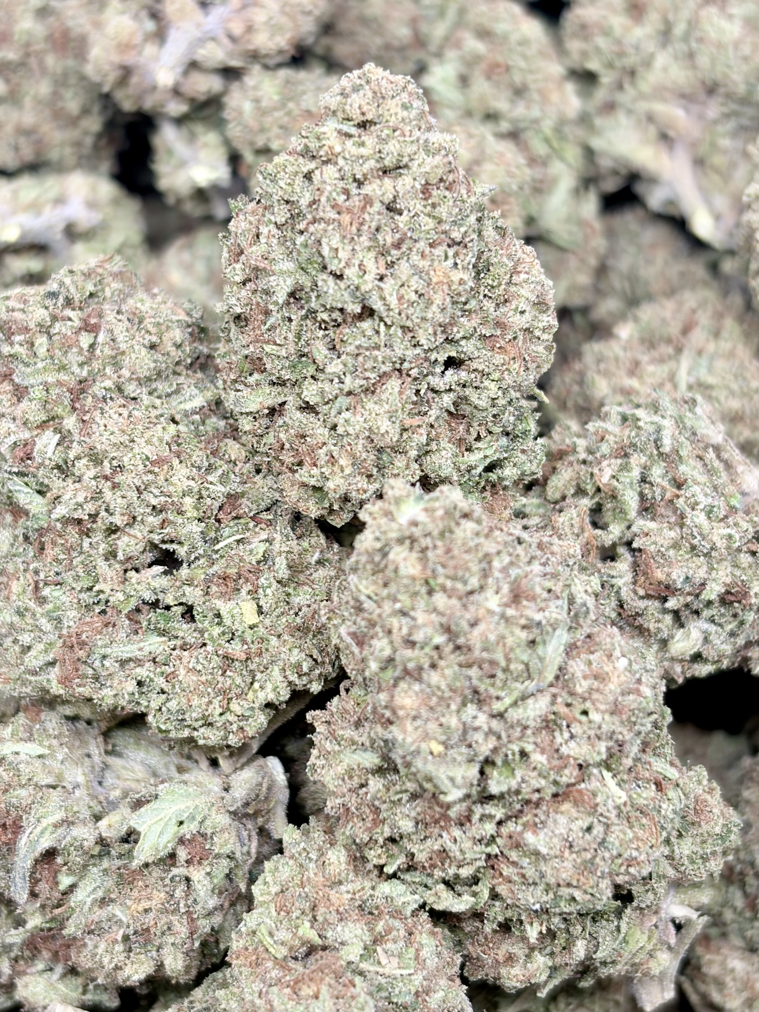 King Sherb 2oz for $160