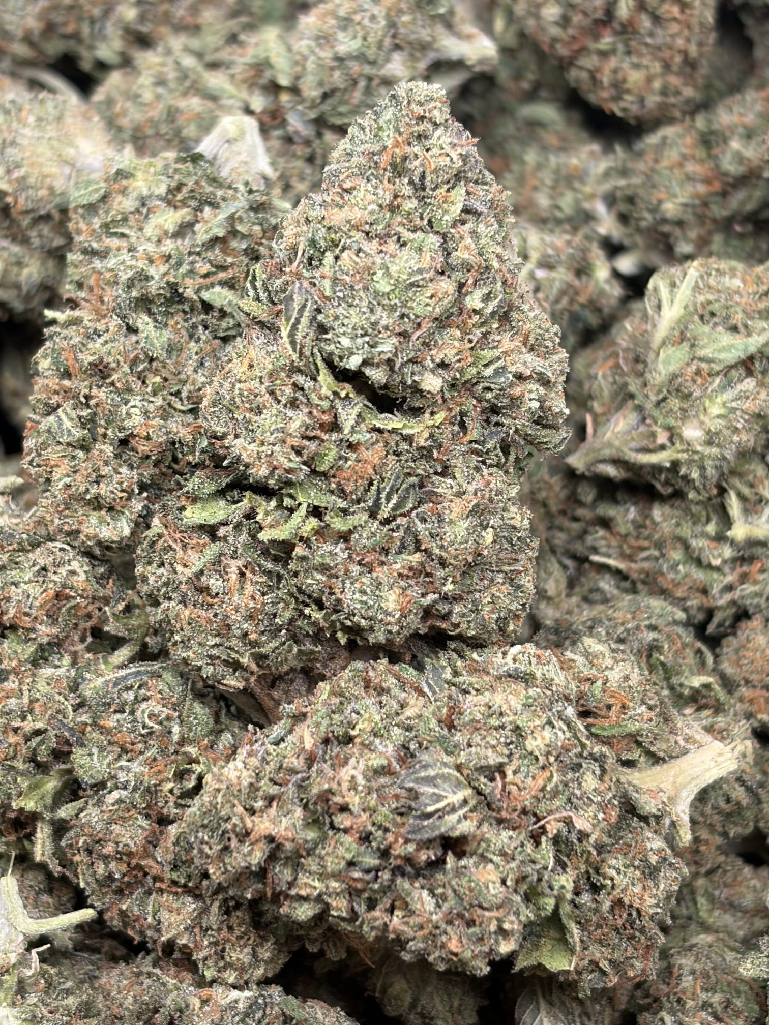 Venom Runtz  2oz for $125