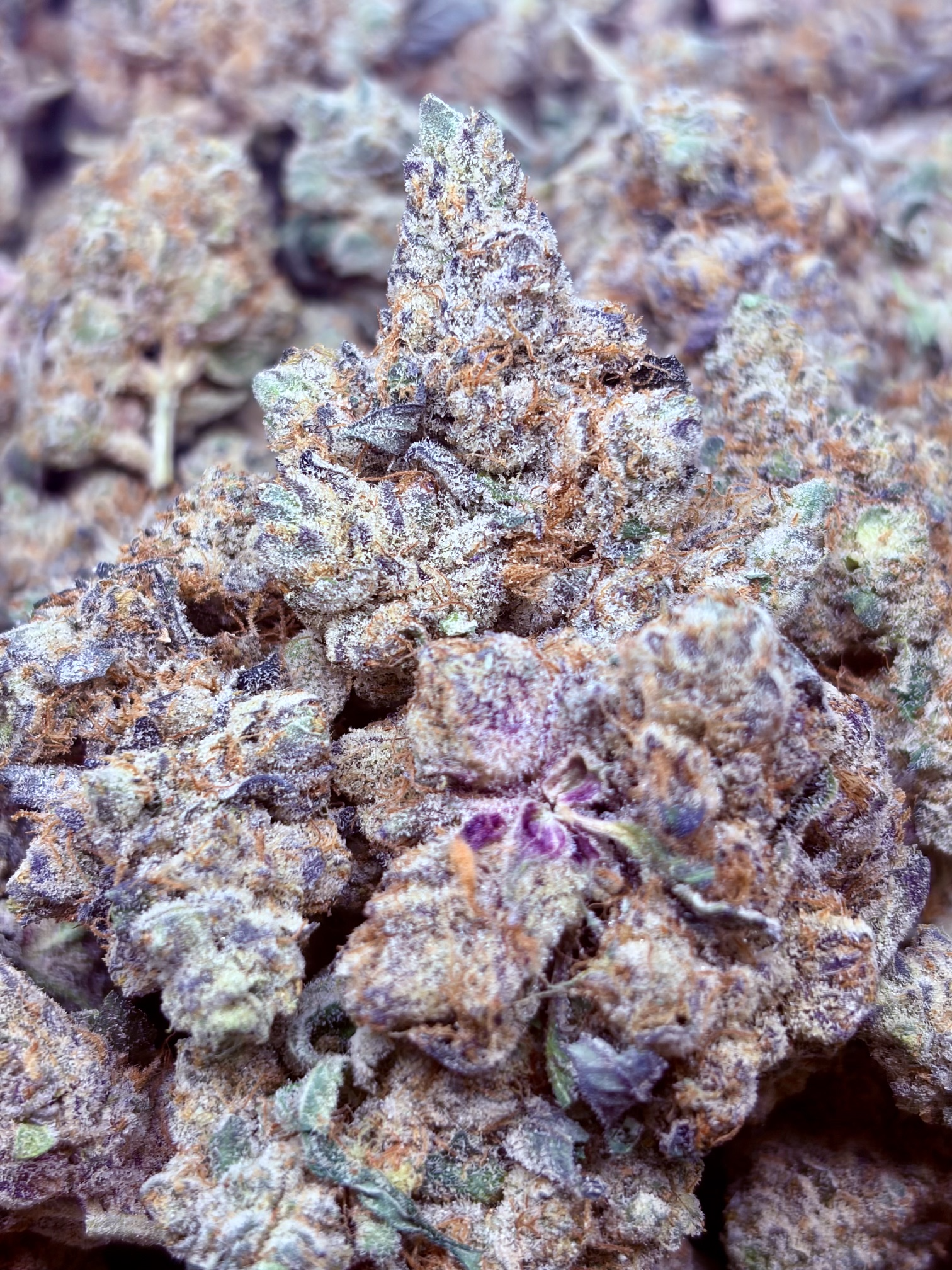 BLUE ZOAP. 2oz for $200!