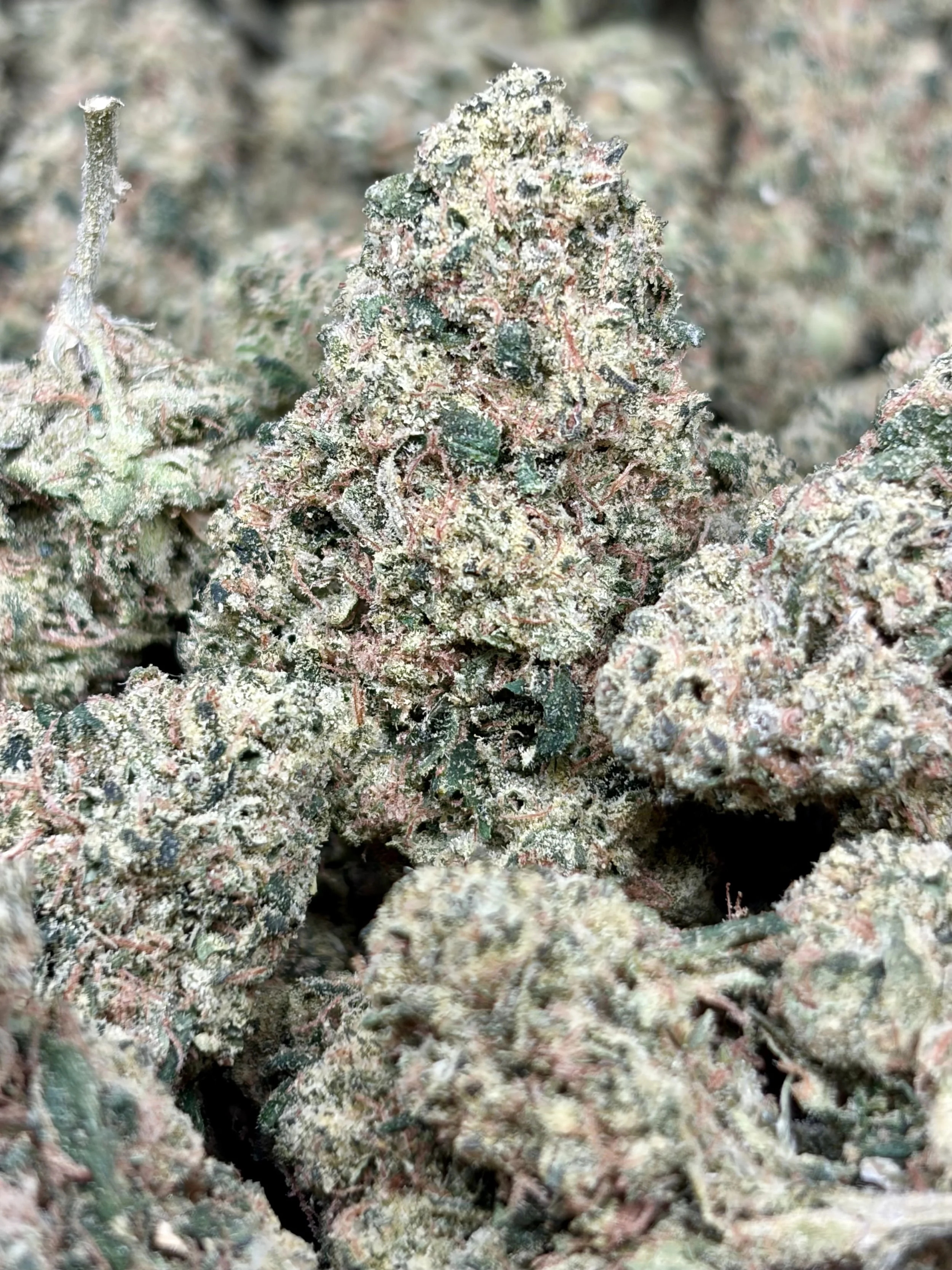 Headbanger  2oz for $130