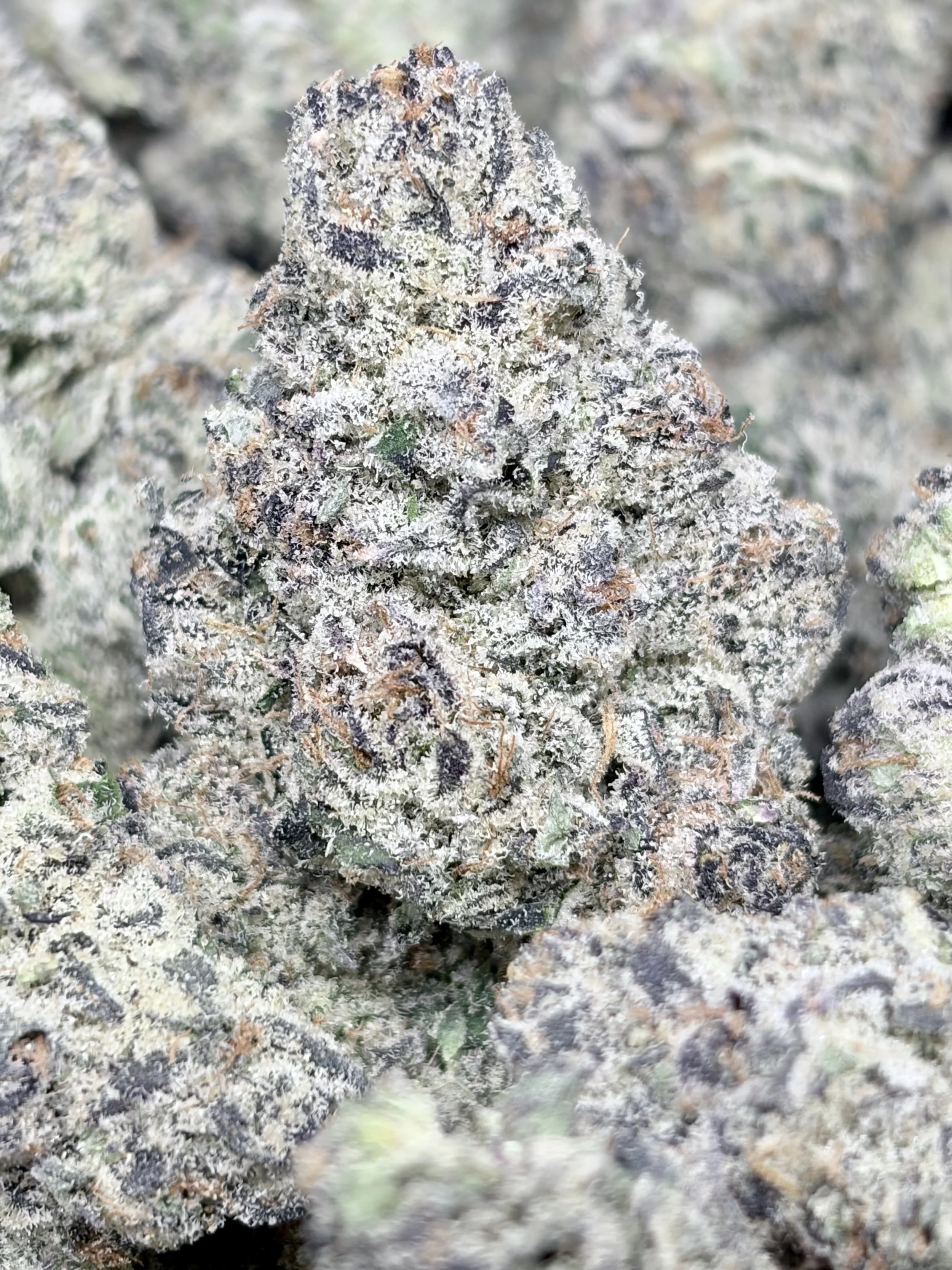 White Gummy.