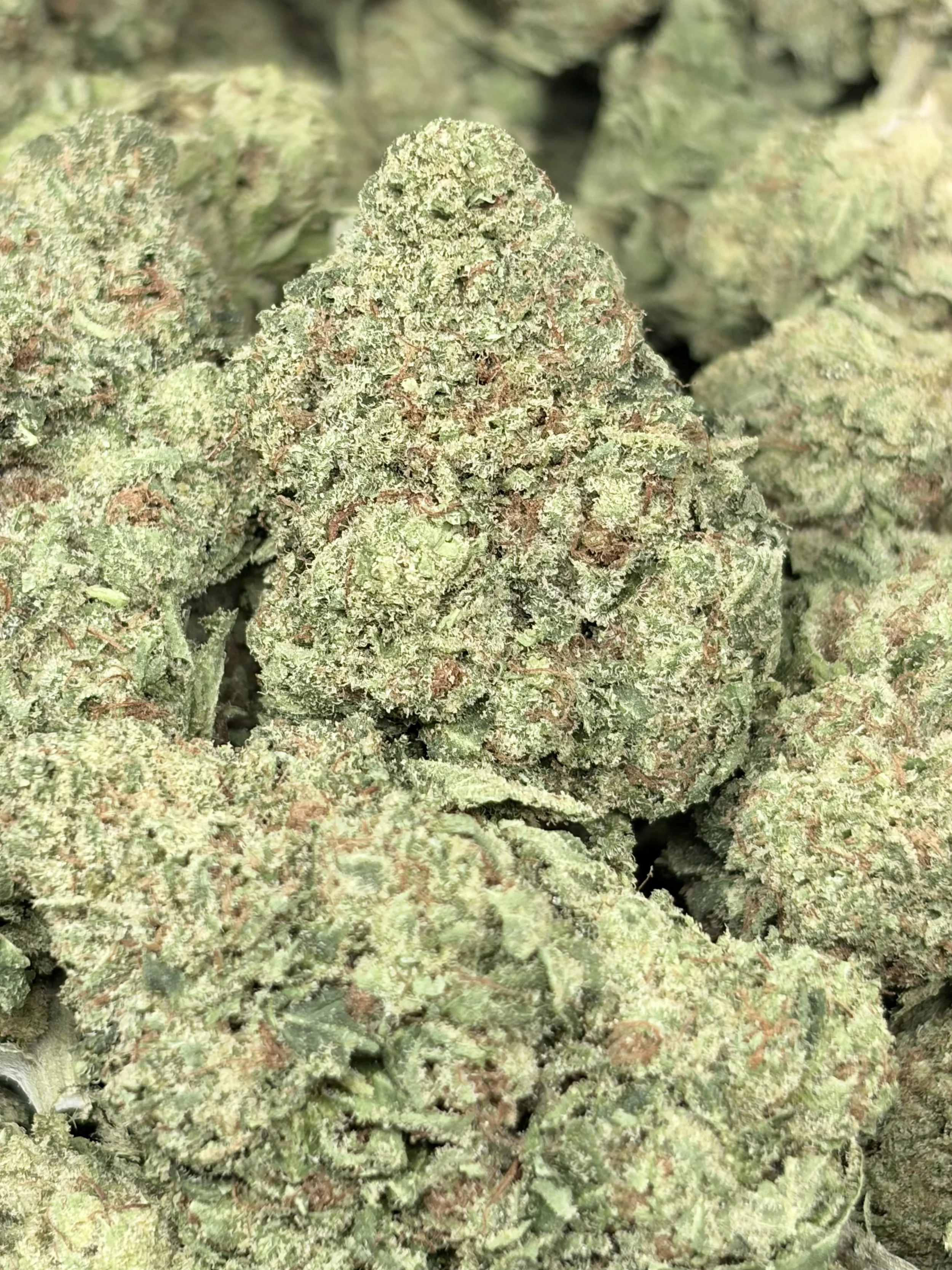 Baby Jokerz  2oz for $140