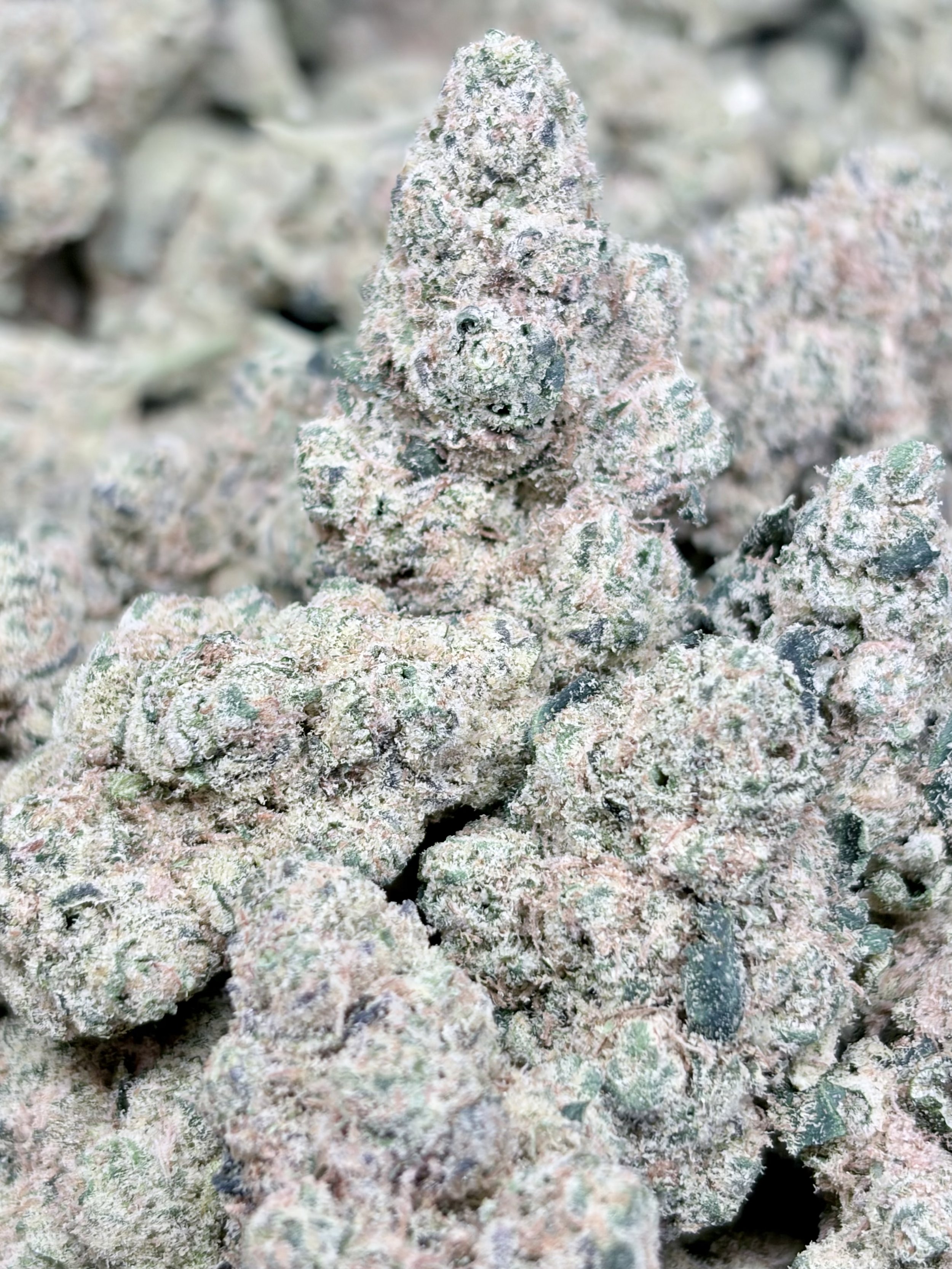 Mac and Cheese  2oz for $150