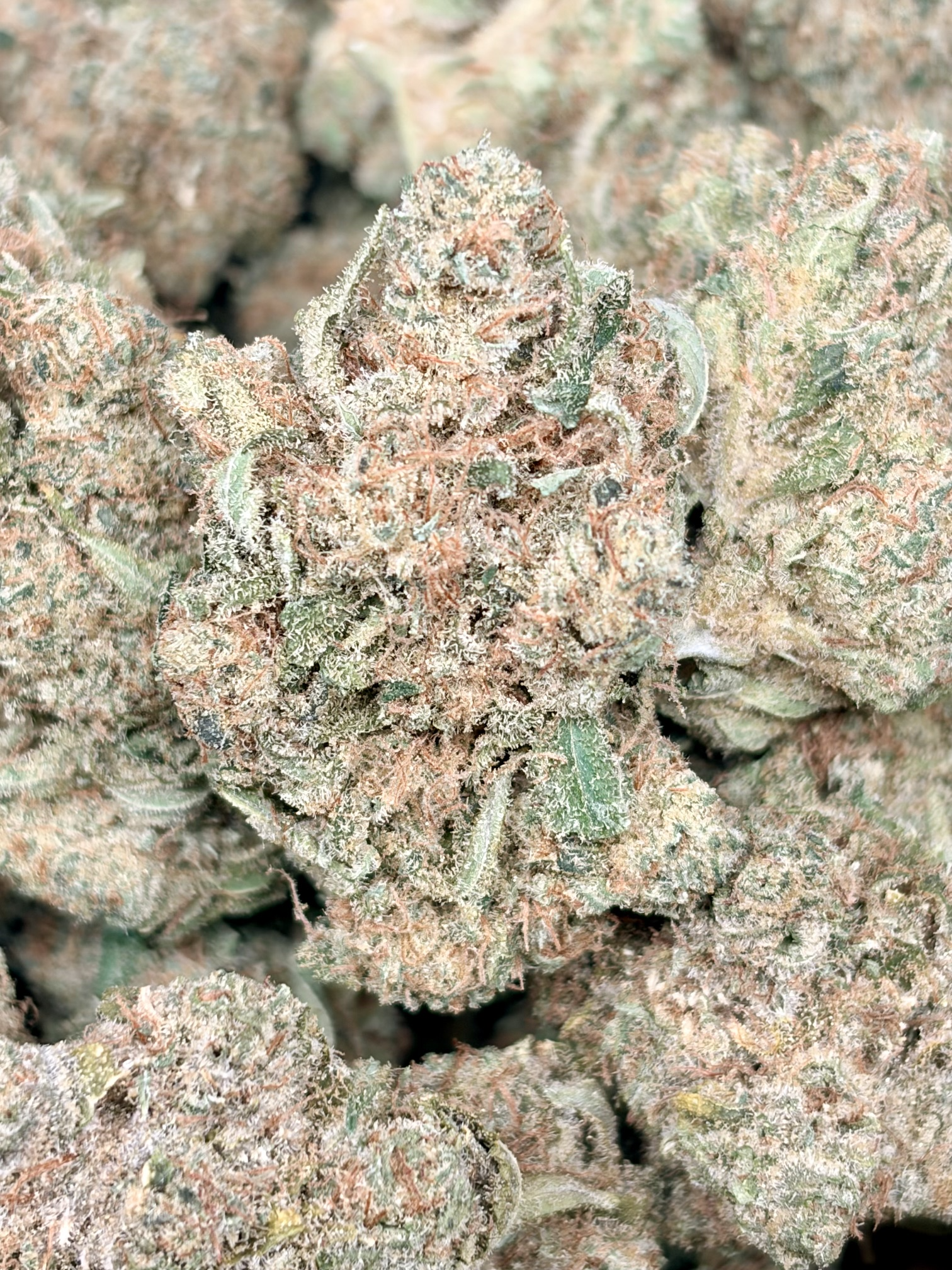 Triangle Kush  2oz for $140