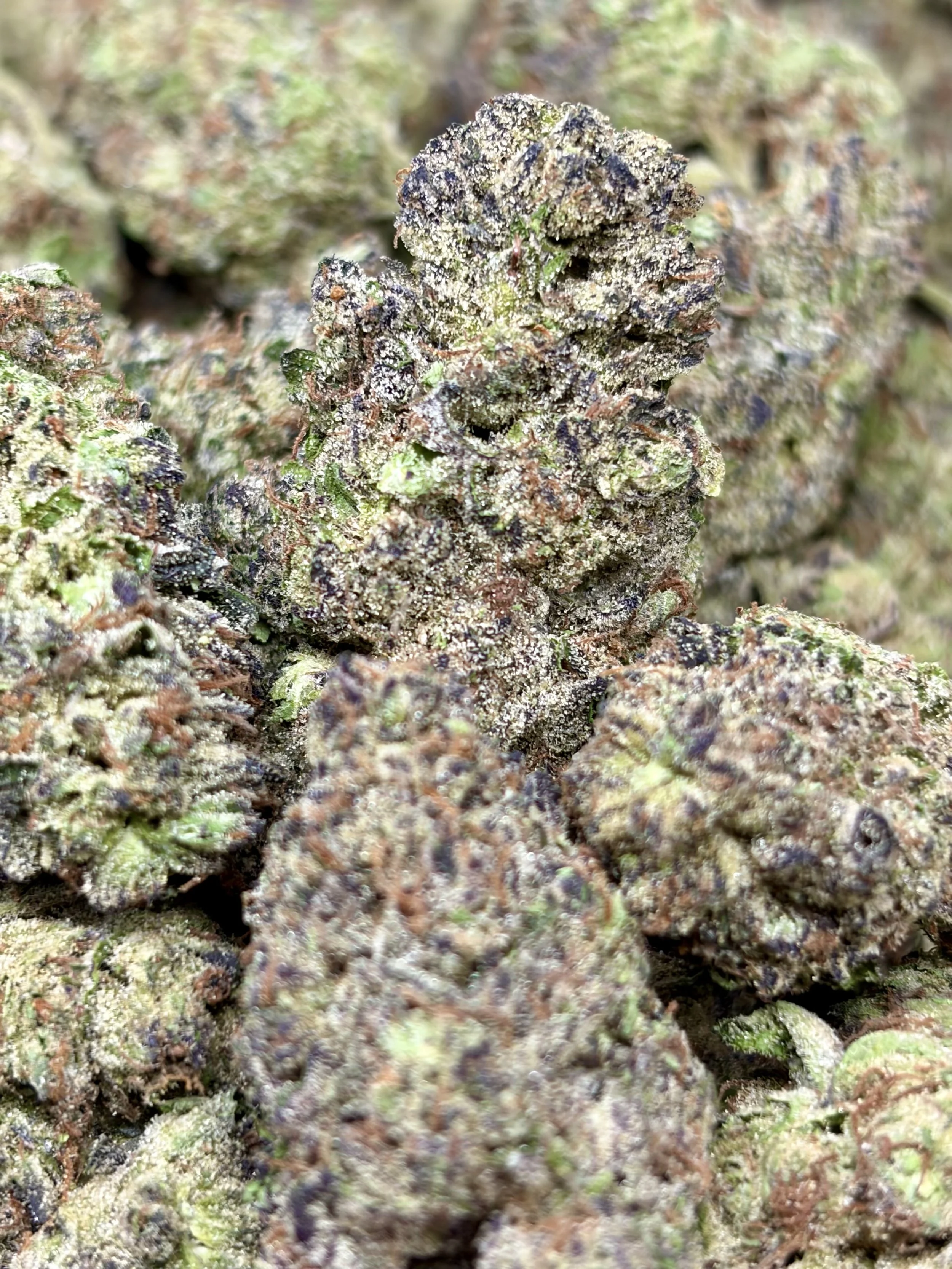 Ice Cream Cake  2oz for $150