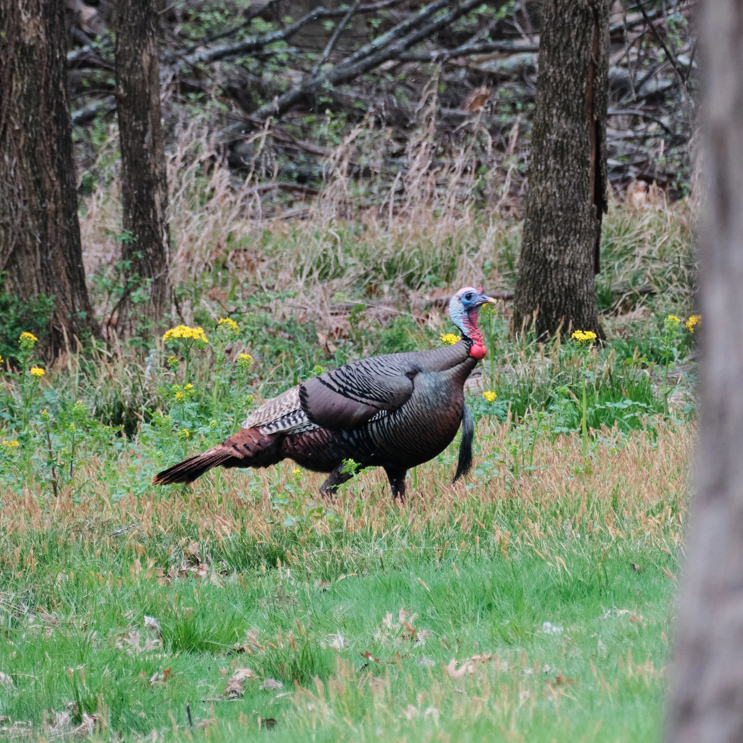 Edited - DSCF1936 2.jpg