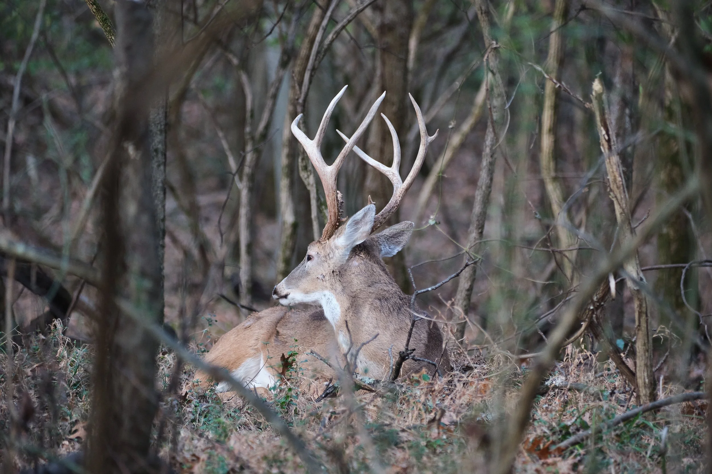 Edited - DSCF6549.jpg