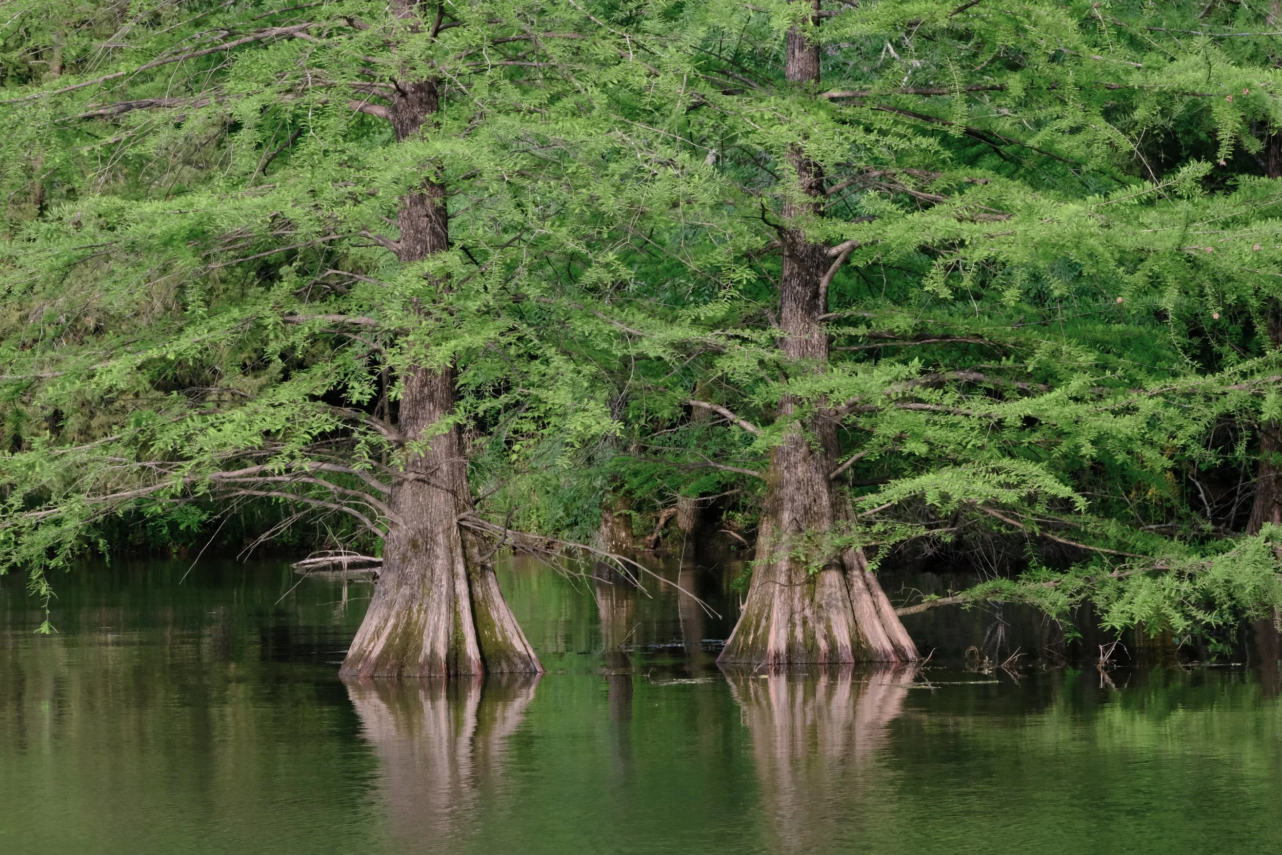 Edited - DSCF7350.jpg