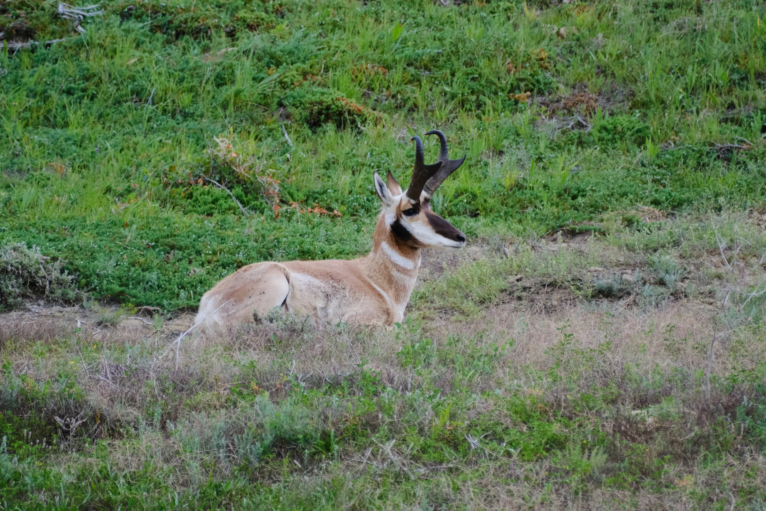 Edited - DSCF3578.jpg