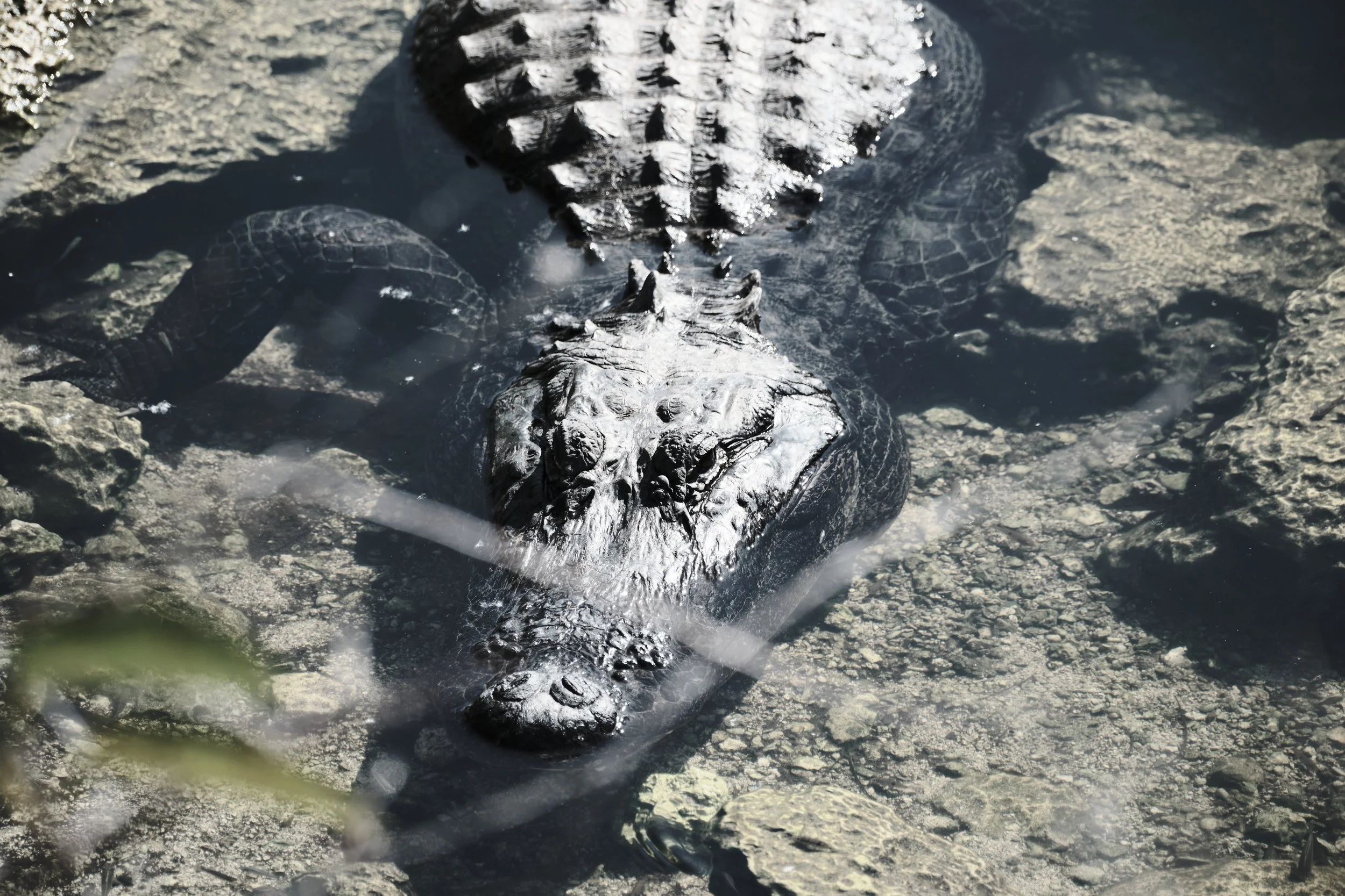 Edited - DSCF0329 2.jpg