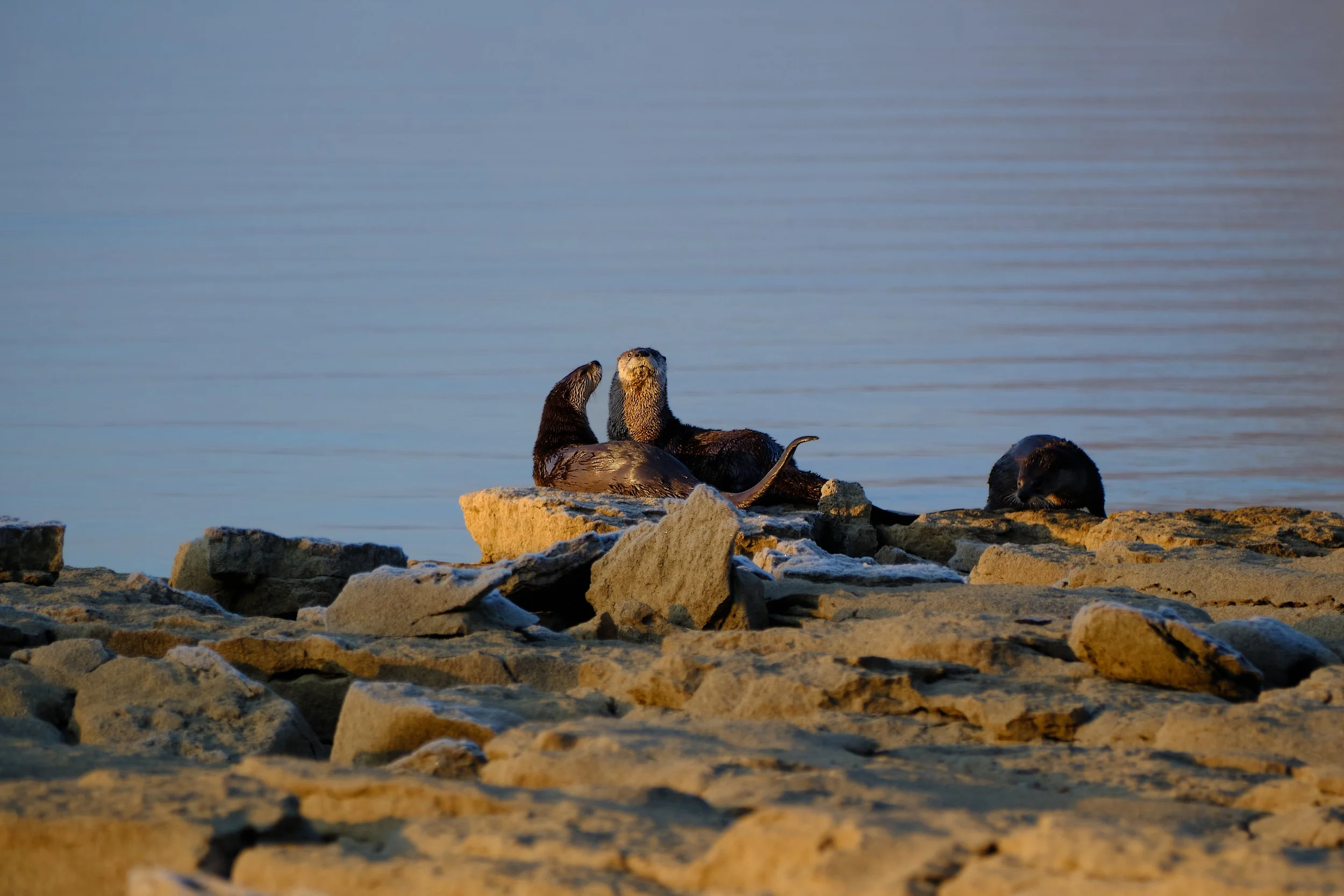 Edited - DSCF0072.jpg