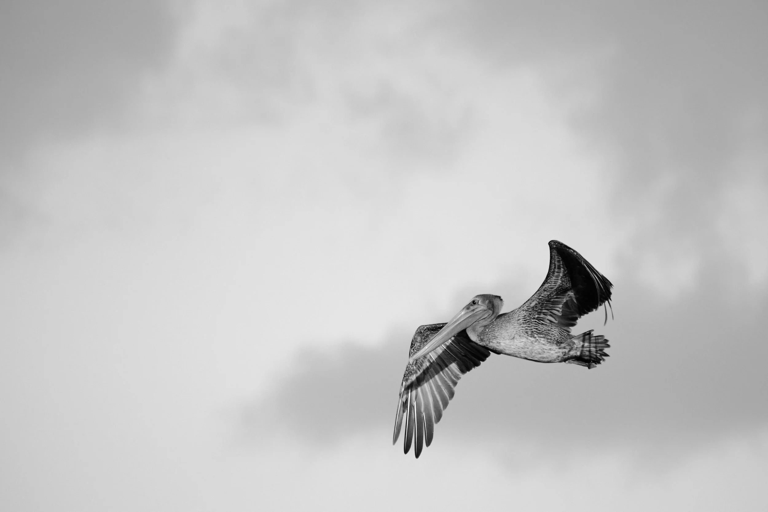 Edited - DSCF5380.jpg