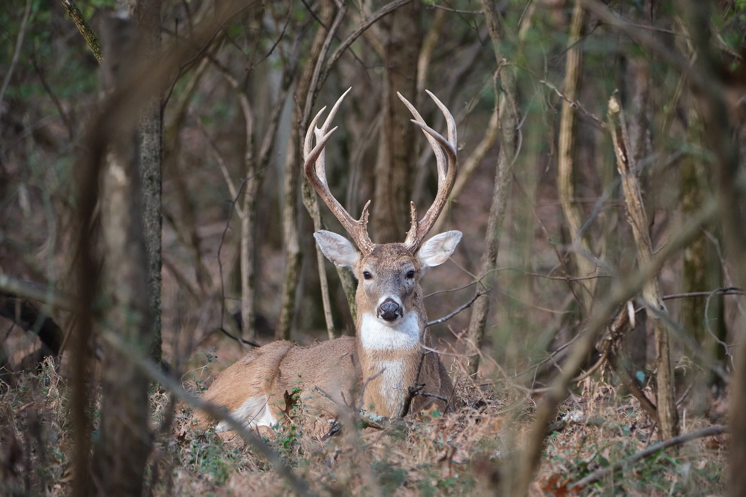 Edited - DSCF6527.jpg