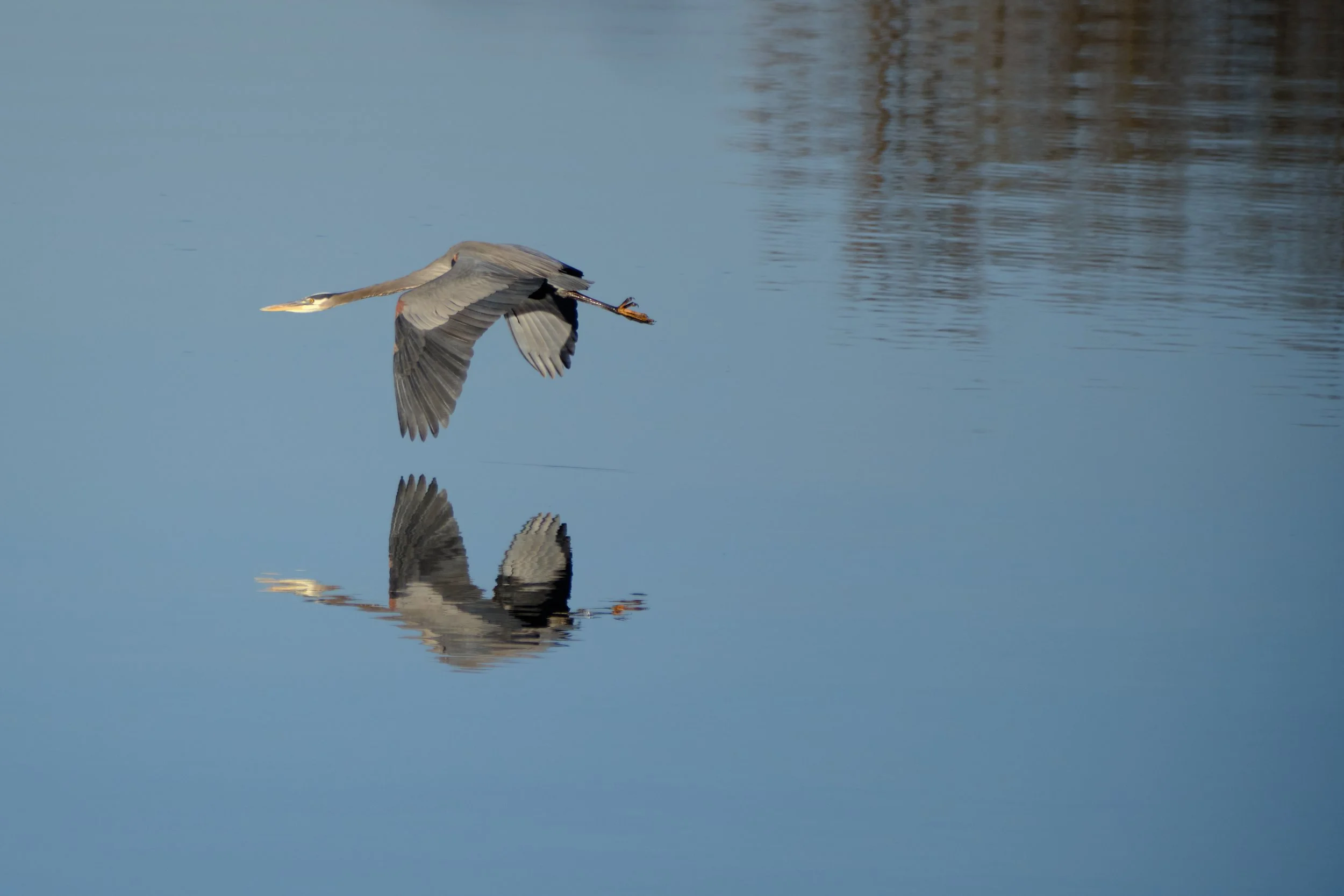 Edited - DSCF6597.jpg