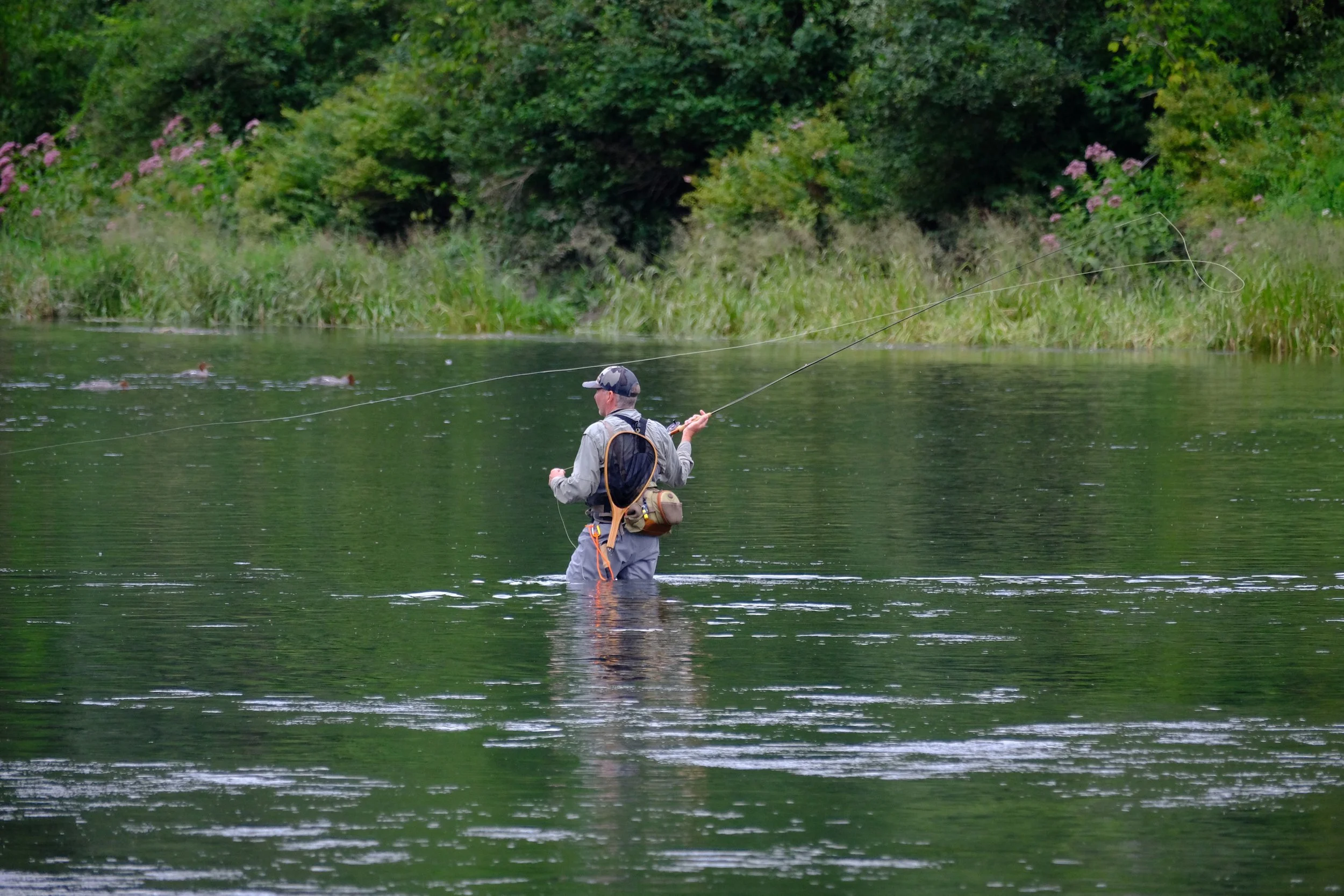 Edited - DSCF0921 2.jpg