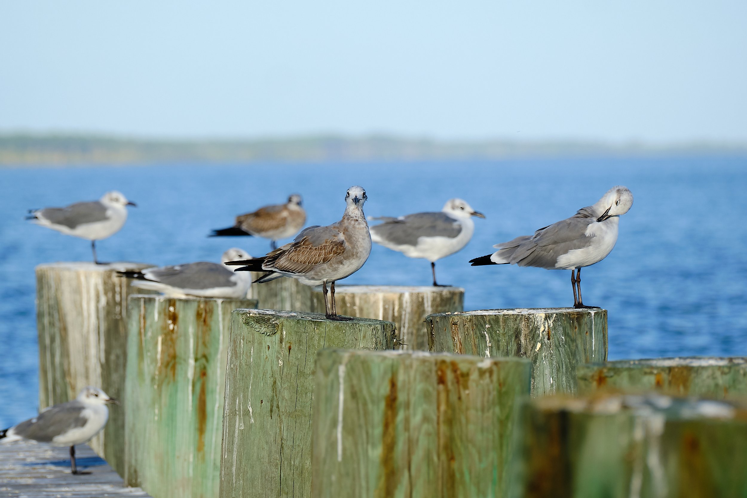 Edited - DSCF5342.jpg