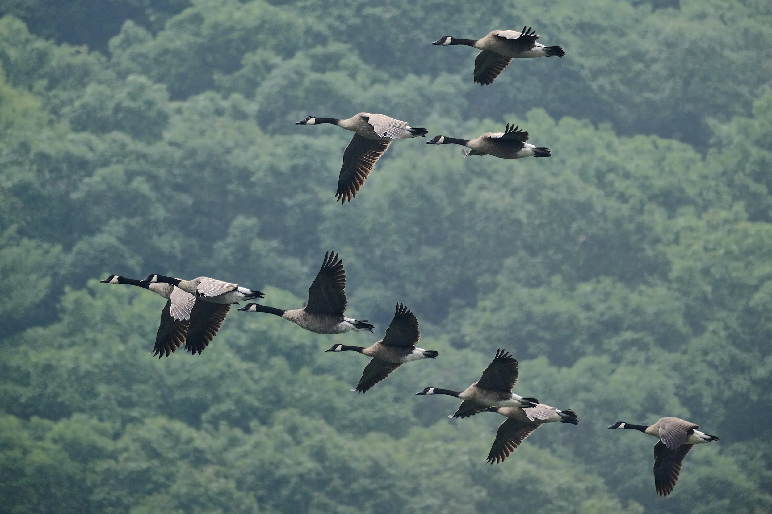 Edited - 2024-08-02_07-37-38_000.jpg