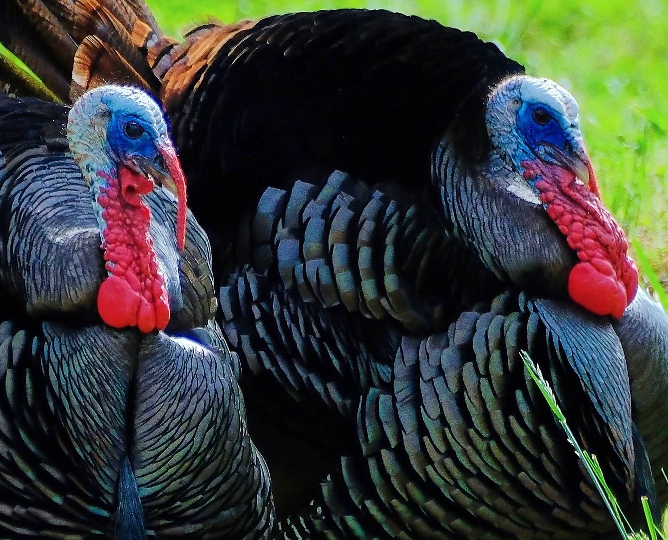 Edited - IMG_6660.jpg