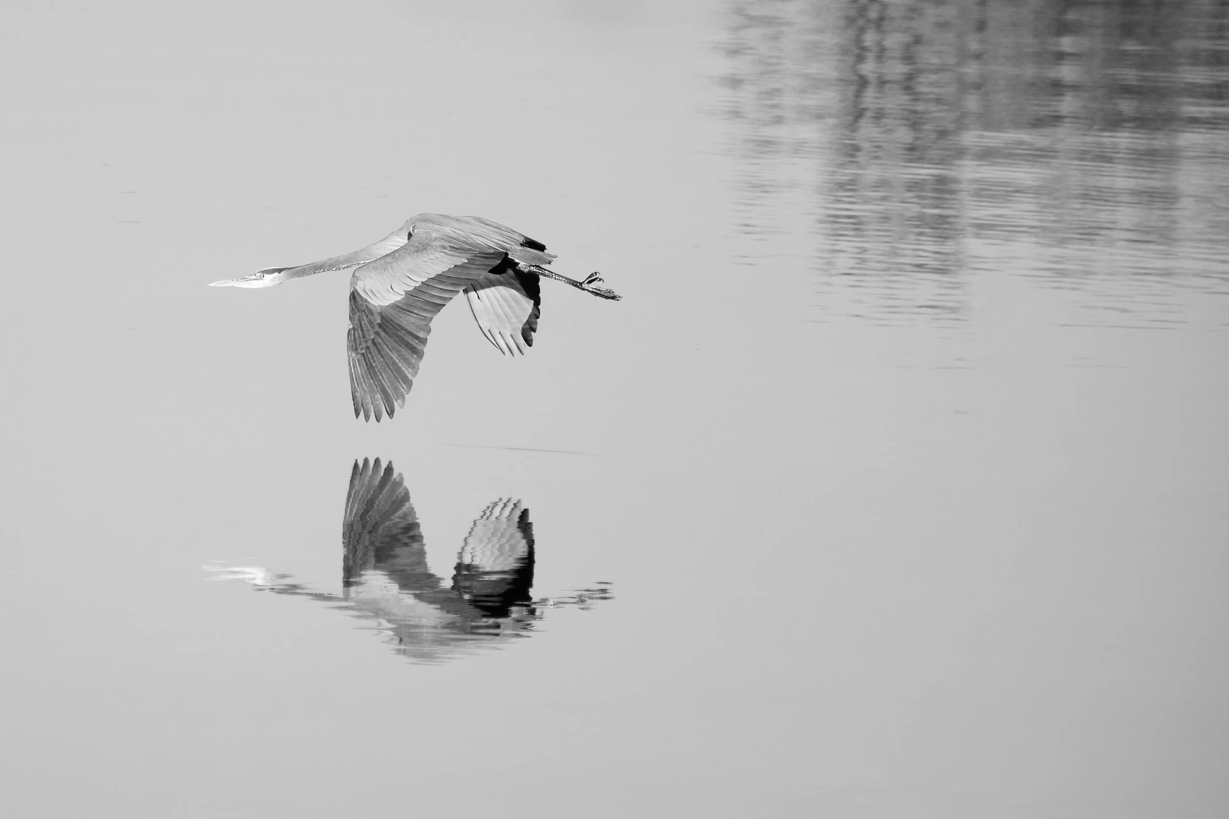 Edited - DSCF6597 1.jpg