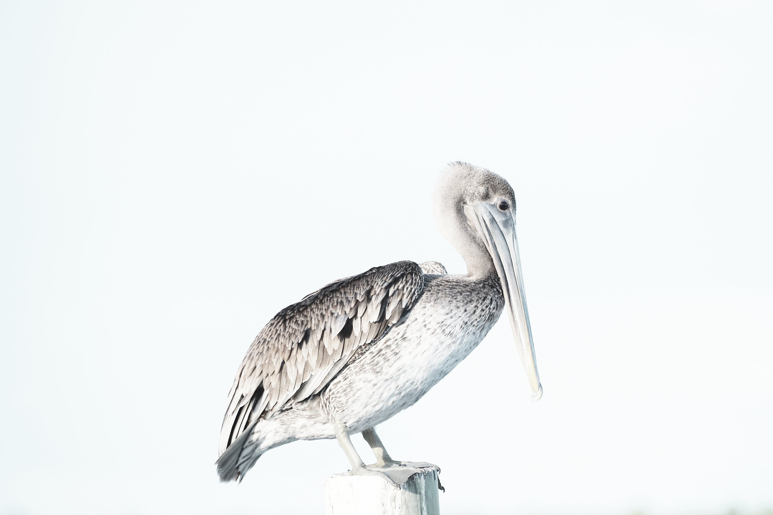 Edited - DSCF5340 2.jpg