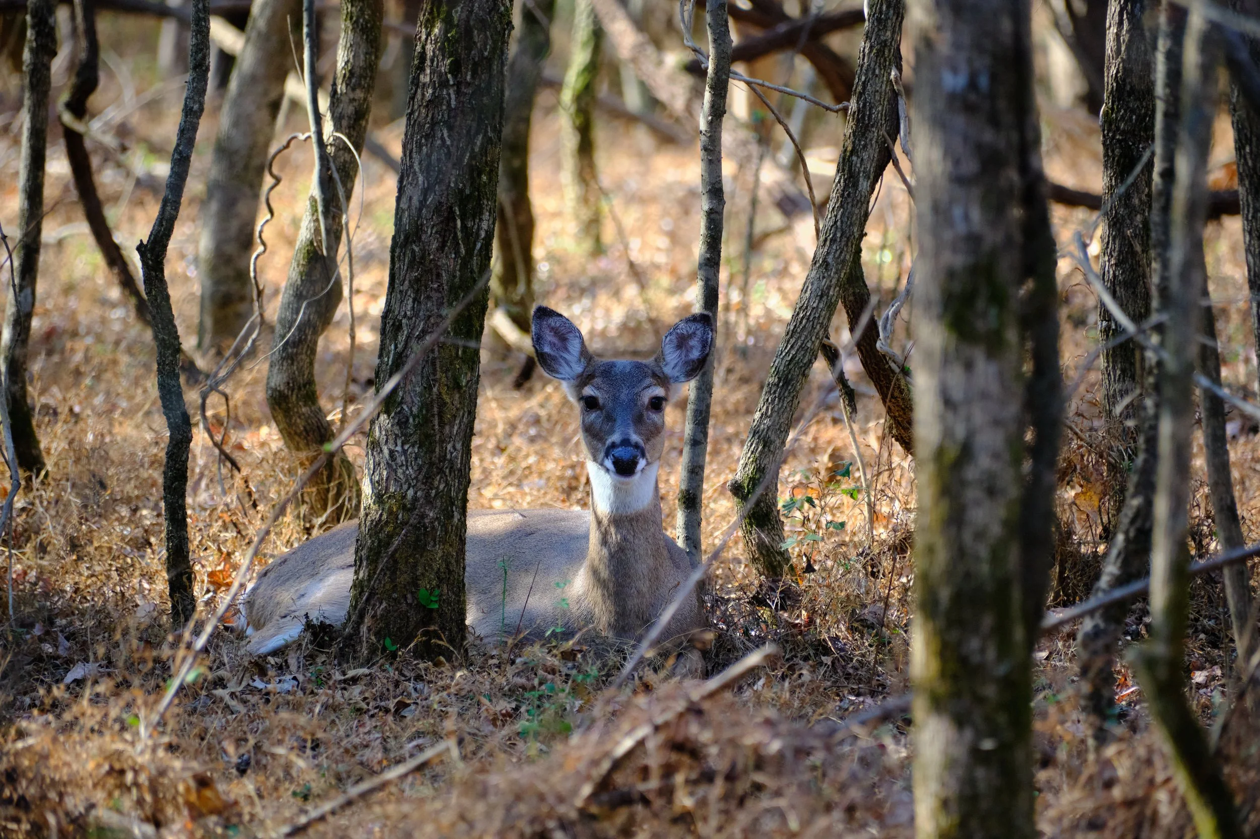 Edited - DSCF5519 1.jpg