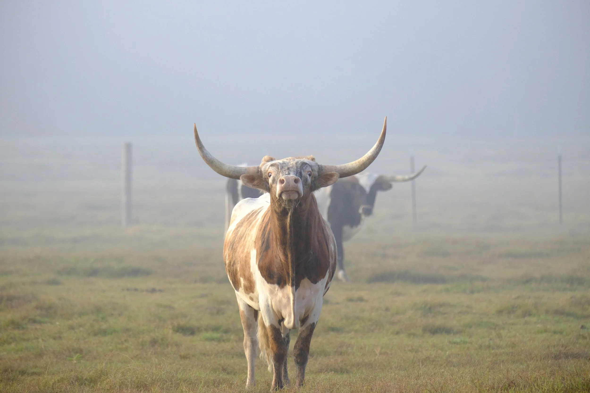 Edited - DSCF2211.jpg