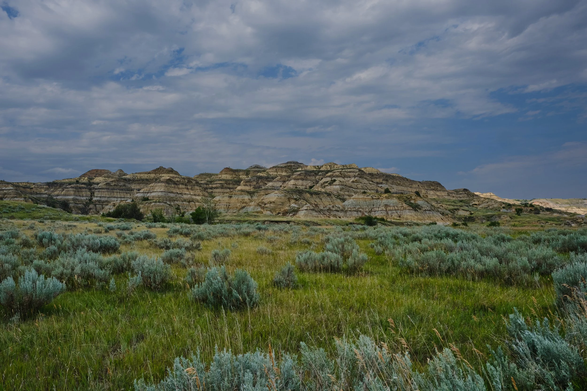 Edited - DSCF3625.jpg