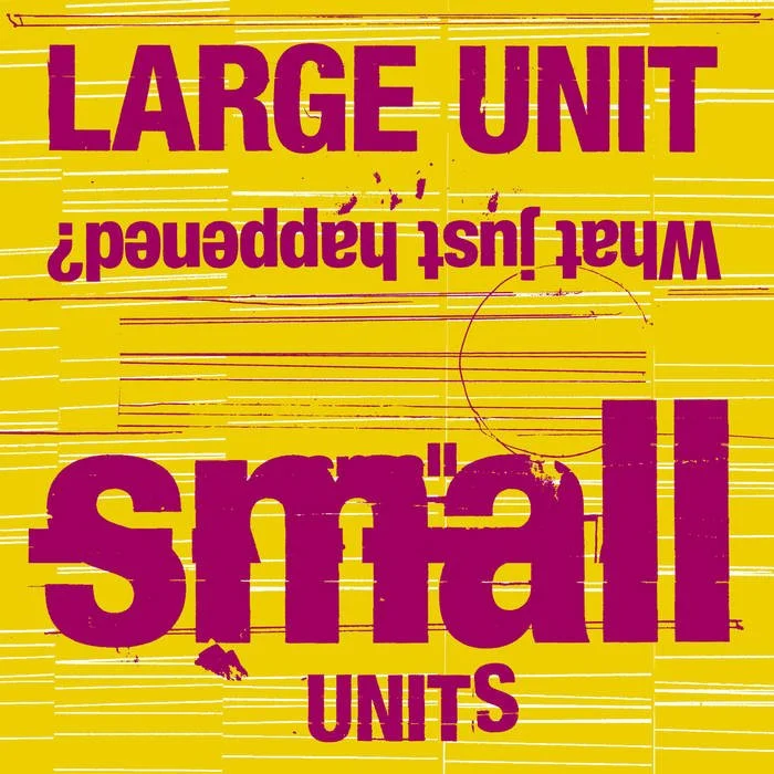 Large Unit: Small Units – What Just Happened? 
